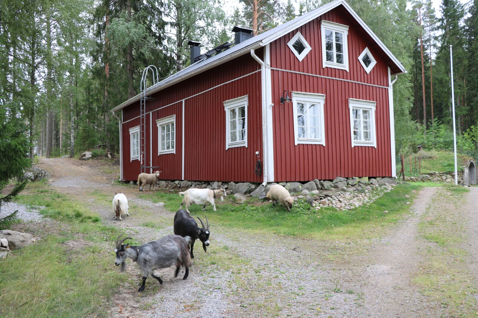Canon EOS 750D (EOS Rebel T6i / EOS Kiss X8i) sample photo. The old house, countryside photography