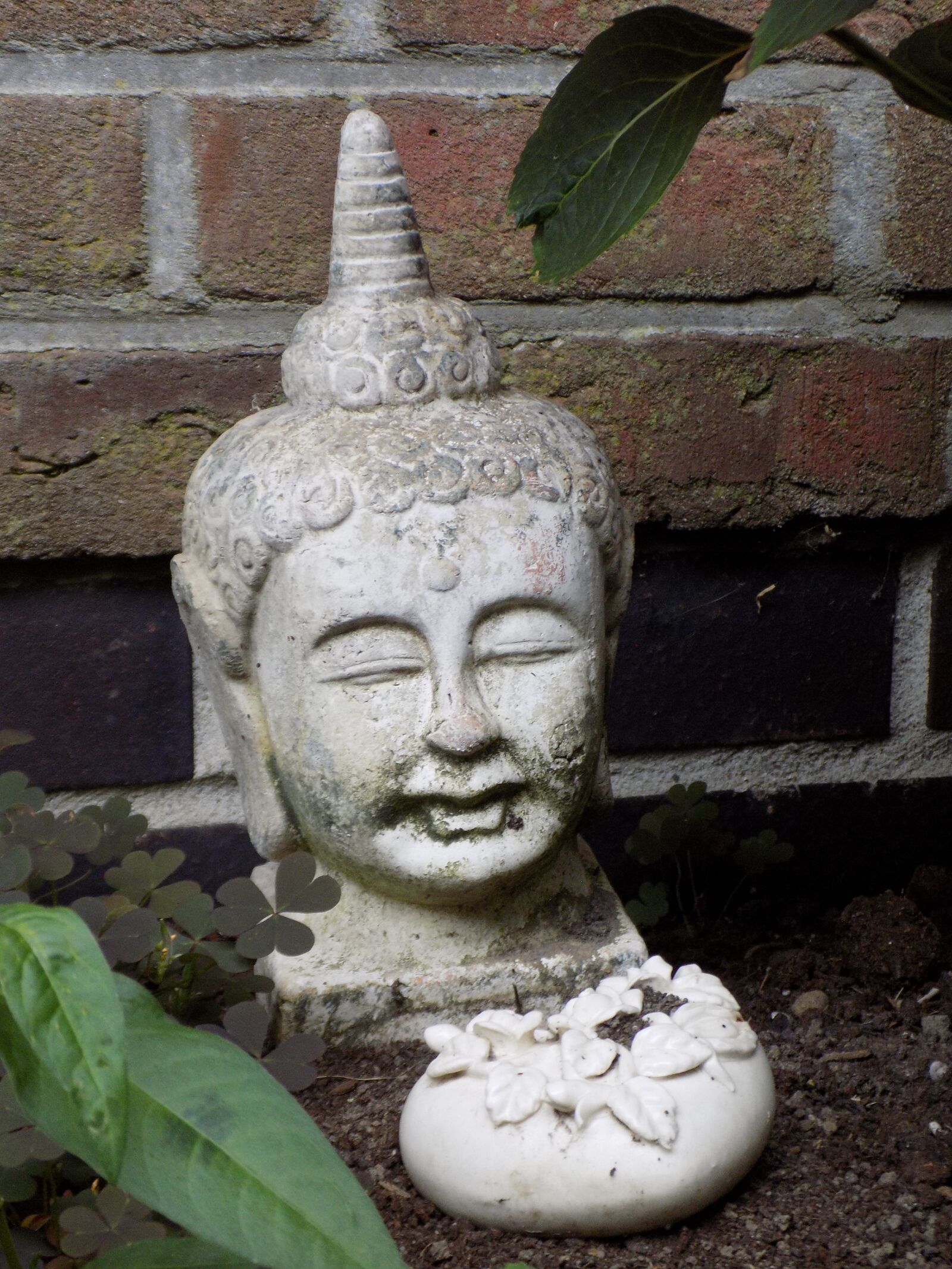Nikon COOLPIX L340 sample photo. Buddha, zen, buddhism photography