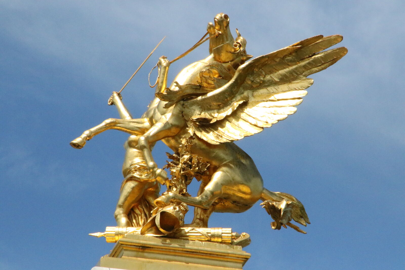 Canon EOS 7D Mark II sample photo. Fly, france, french, golden photography