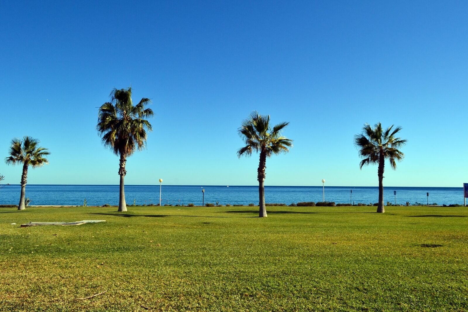 Nikon D3100 sample photo. Landscape, palm, mojacar photography