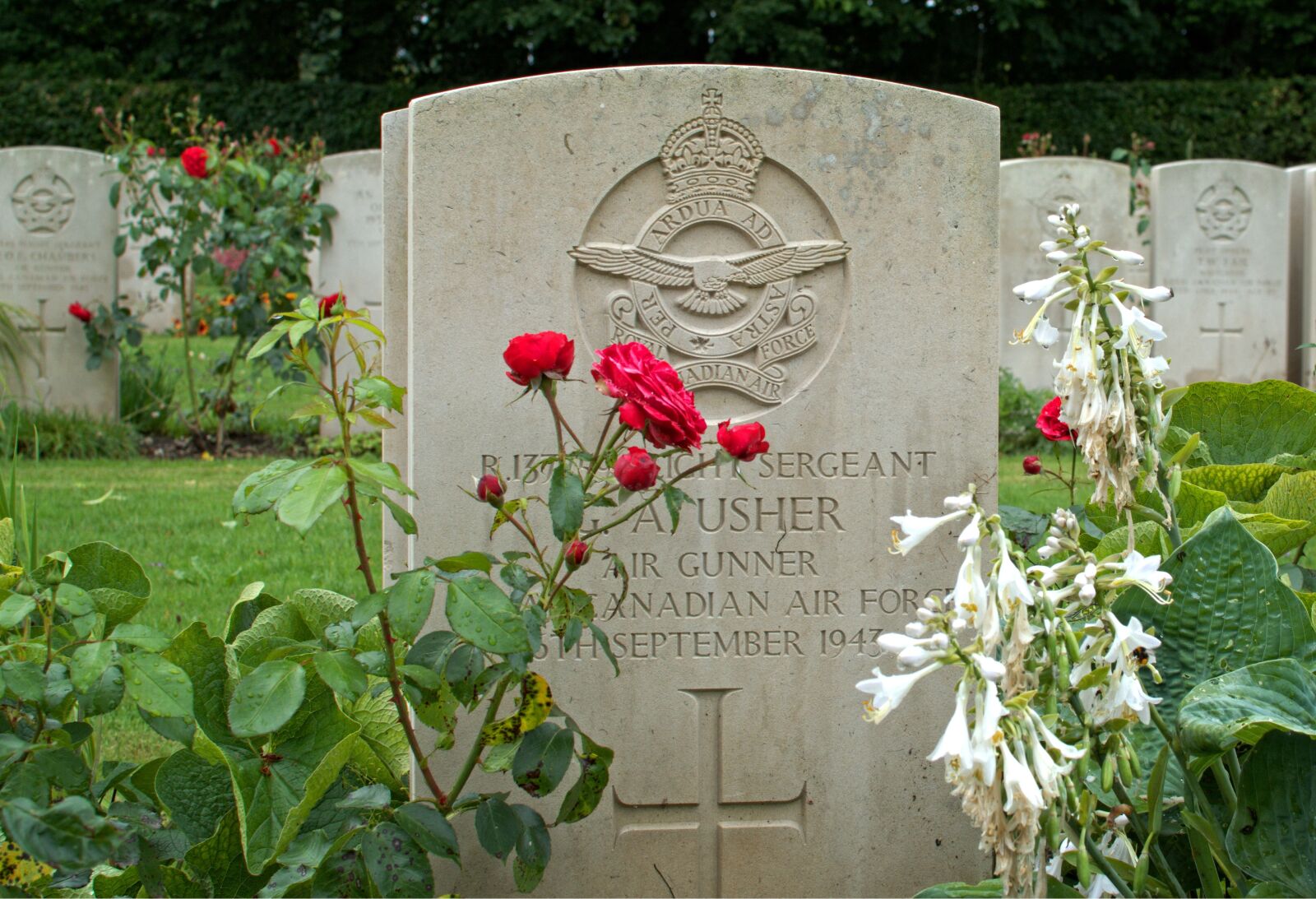 Nikon D7100 sample photo. War, world war, memorial photography