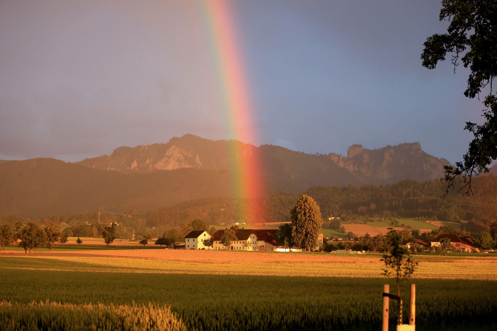 Canon EOS R sample photo. Rainbow, rain, weather photography