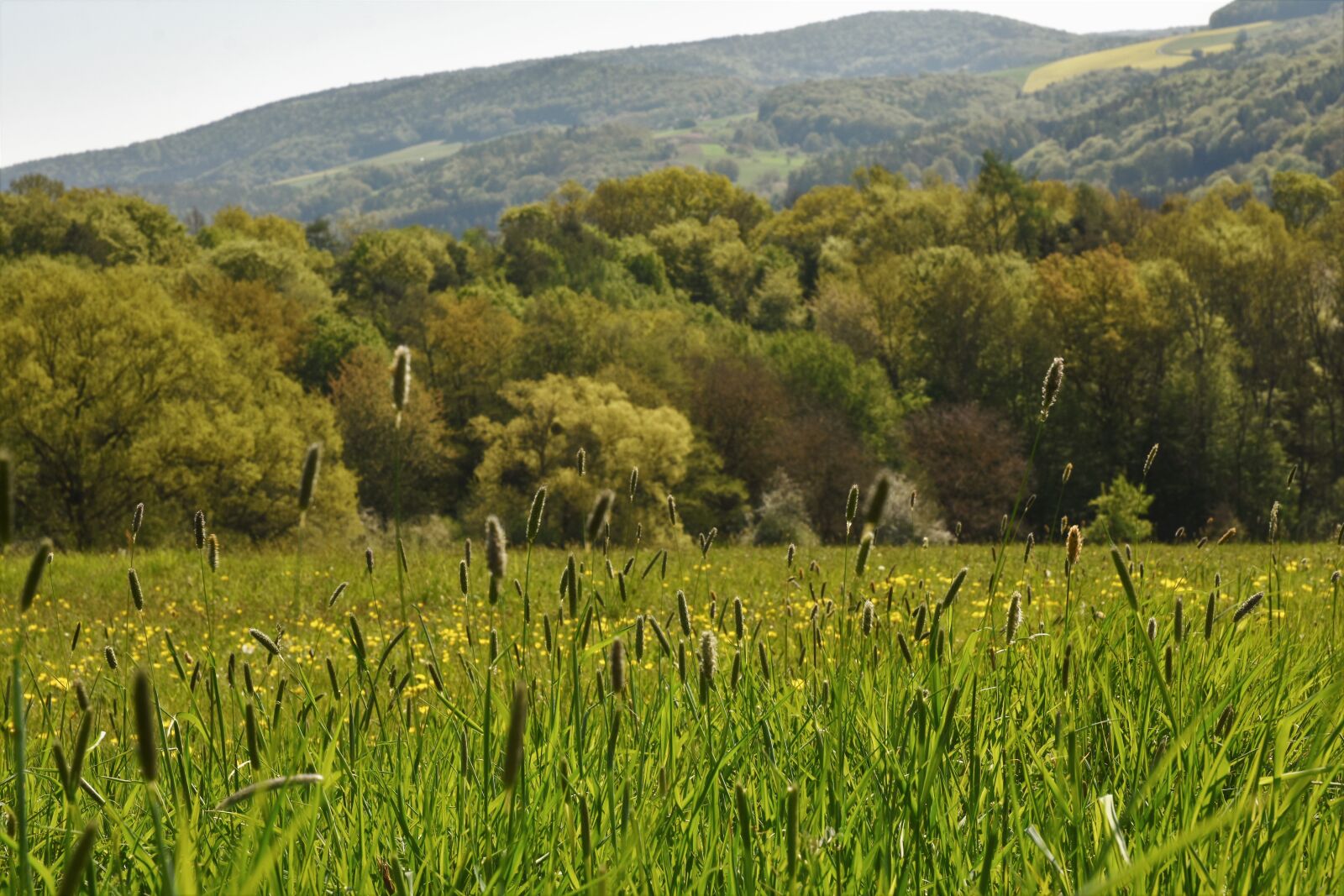 Nikon D3400 sample photo. Air, nature, outdoor photography