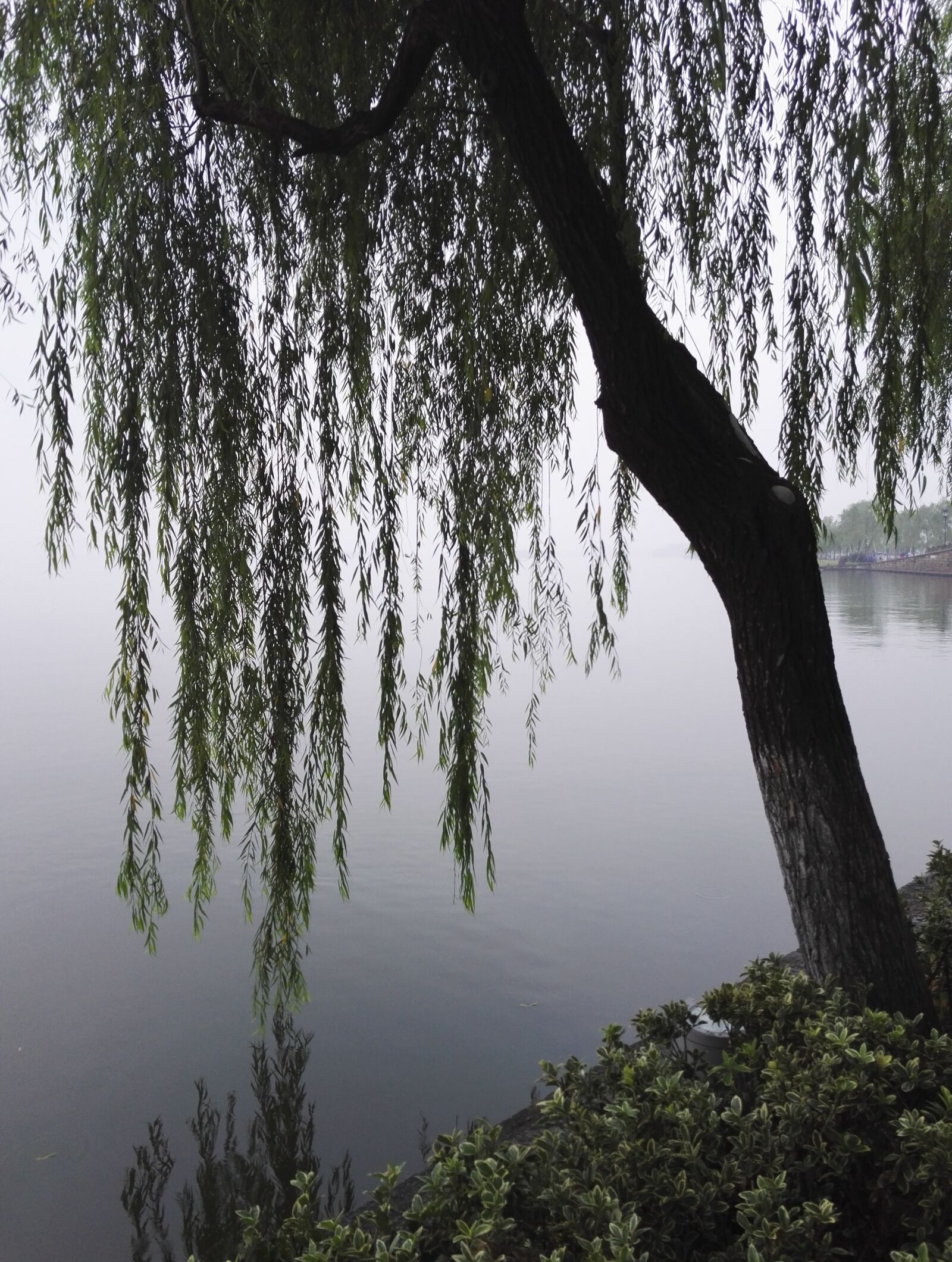 HUAWEI Honor 7 sample photo. Hangzhou, west lake, the photography