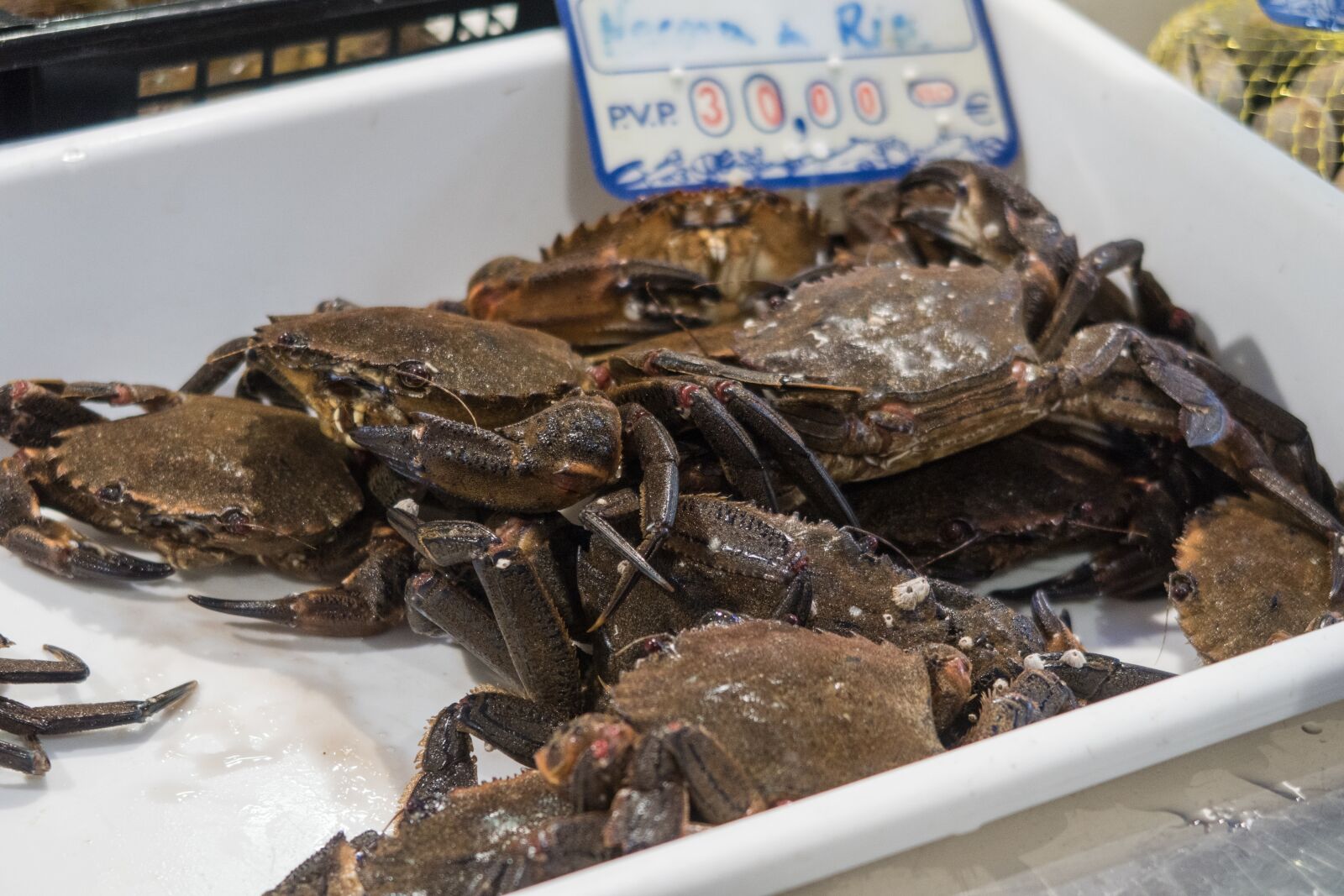 Canon PowerShot G7 X Mark II sample photo. Crab, market, food photography