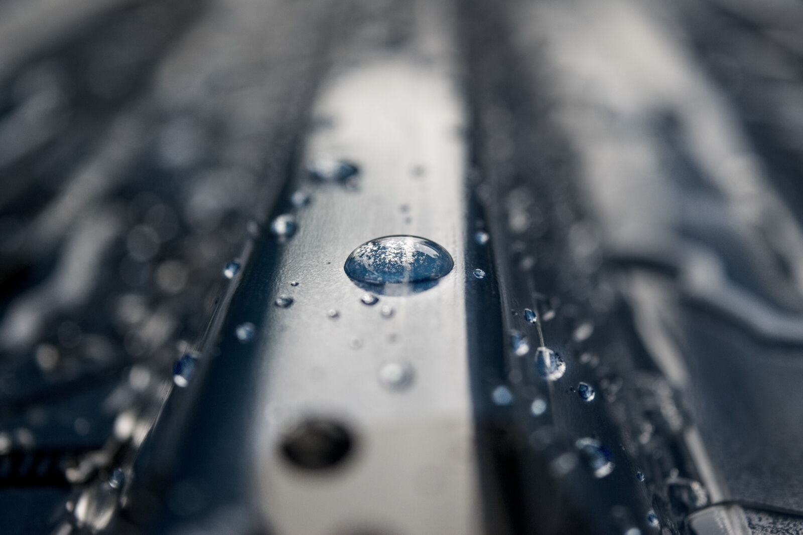Nikon D3300 sample photo. Clear, close, up, color photography