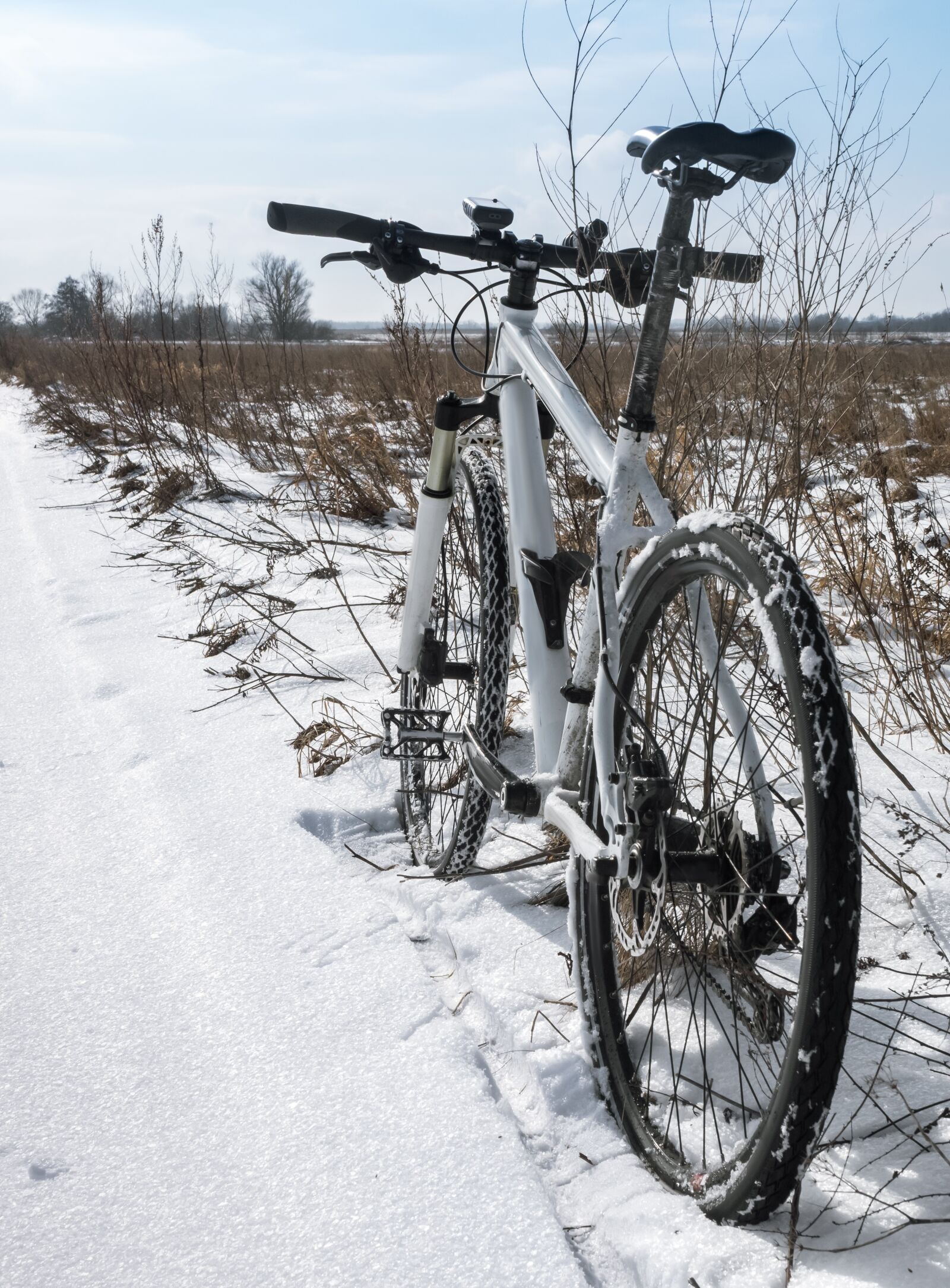 Olympus OM-D E-M5 II sample photo. Winter, tyre, bike photography