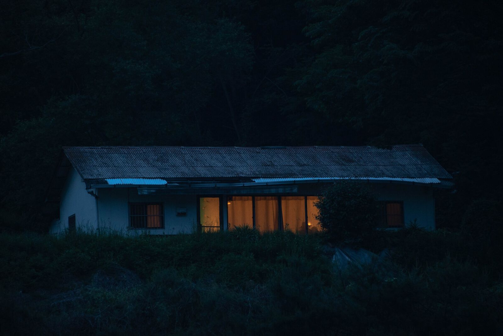 Sony a7S II sample photo. Night, farm, light photography
