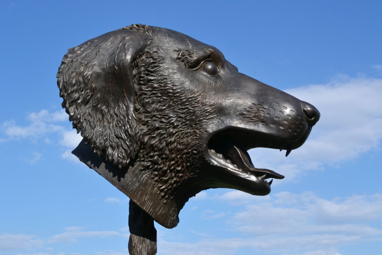 Nikon D3100 sample photo. Sculpture, ai wei wei photography