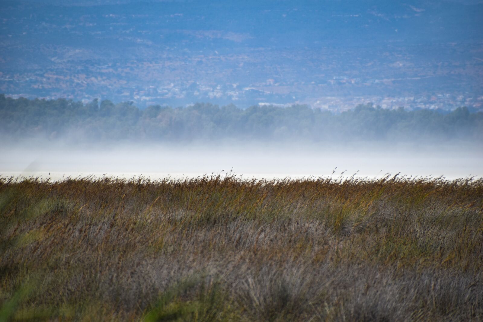 Nikon D5500 sample photo. Cyprus, saltlake, windy photography