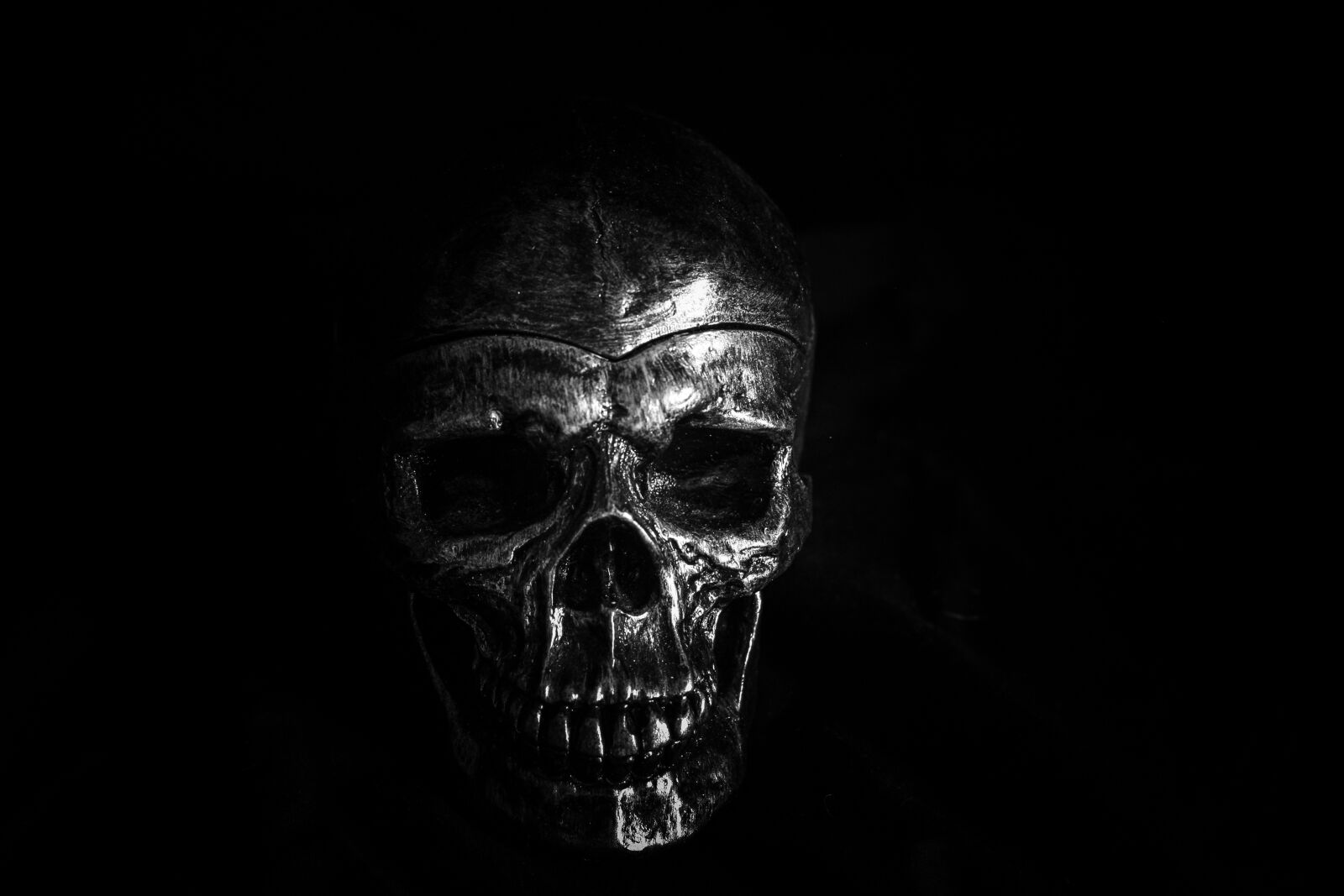 Canon EOS 40D + Canon EF 50mm F1.8 II sample photo. Skull, dark, scary photography