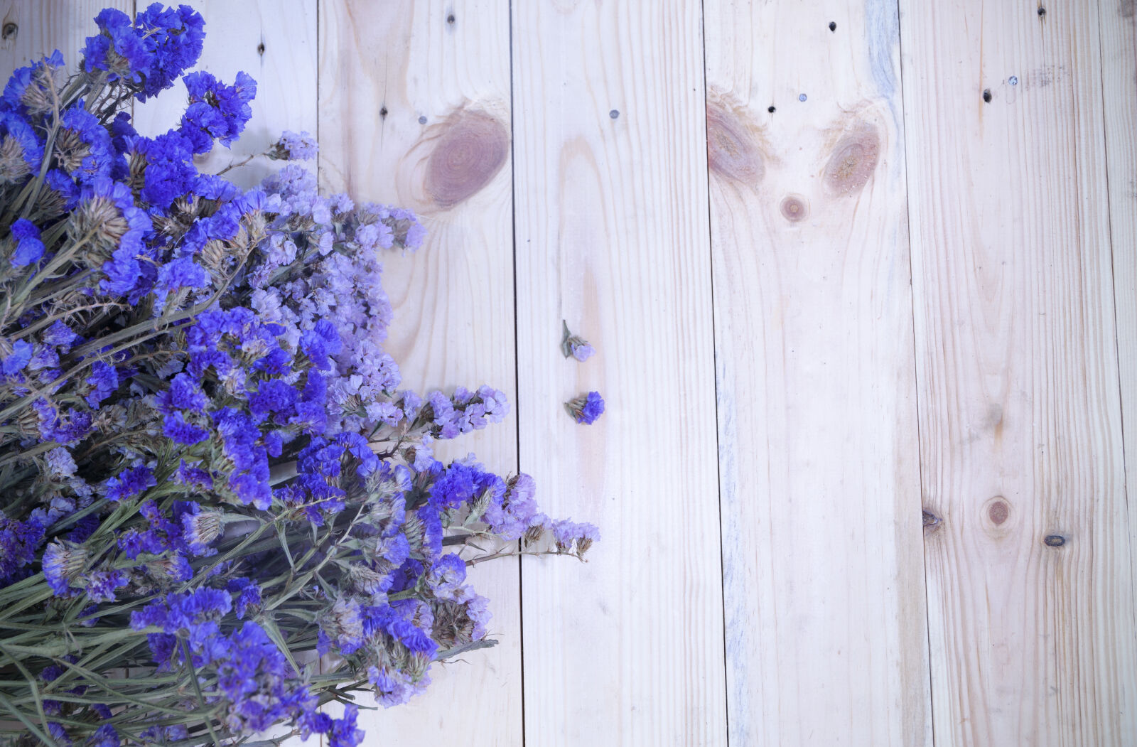 Fujifilm X-A2 + Fujifilm XC 16-50mm F3.5-5.6 OIS II sample photo. Flowers, lavender, top, view photography