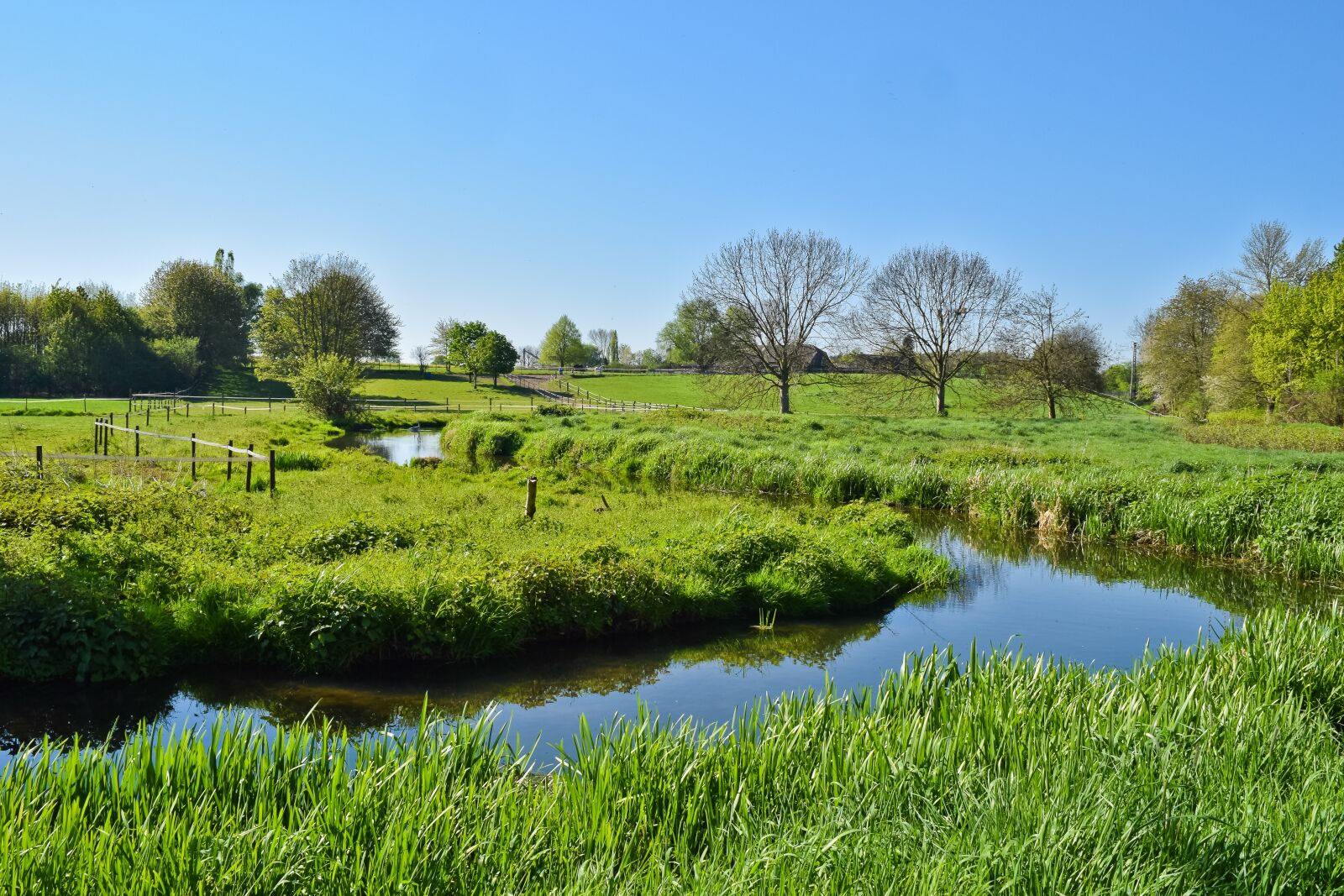 Nikon D3300 sample photo. Landscape, bach, water photography