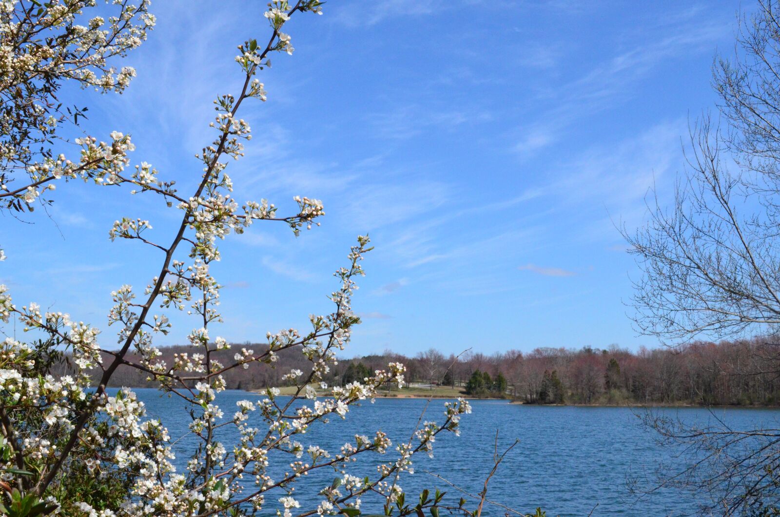 Nikon D5100 sample photo. Lake, pretty day, view photography