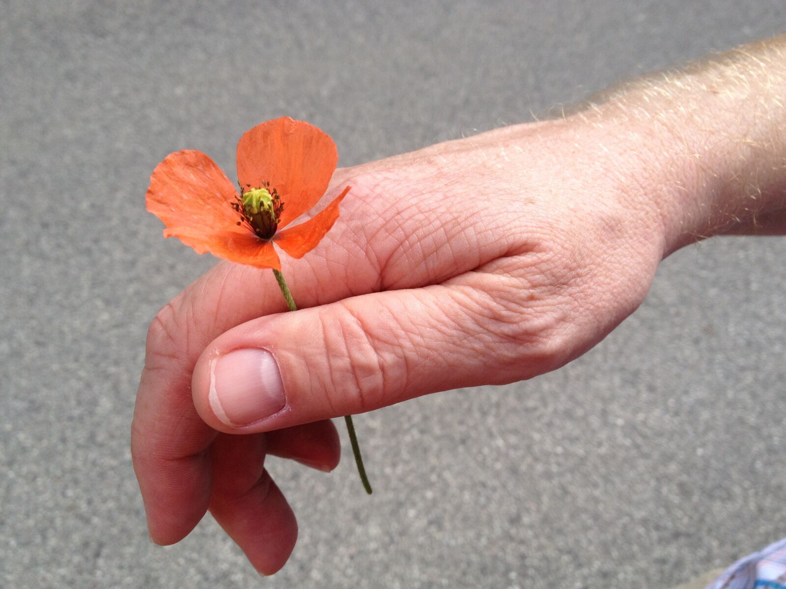 Apple iPhone 4S sample photo. Love, road, curious photography