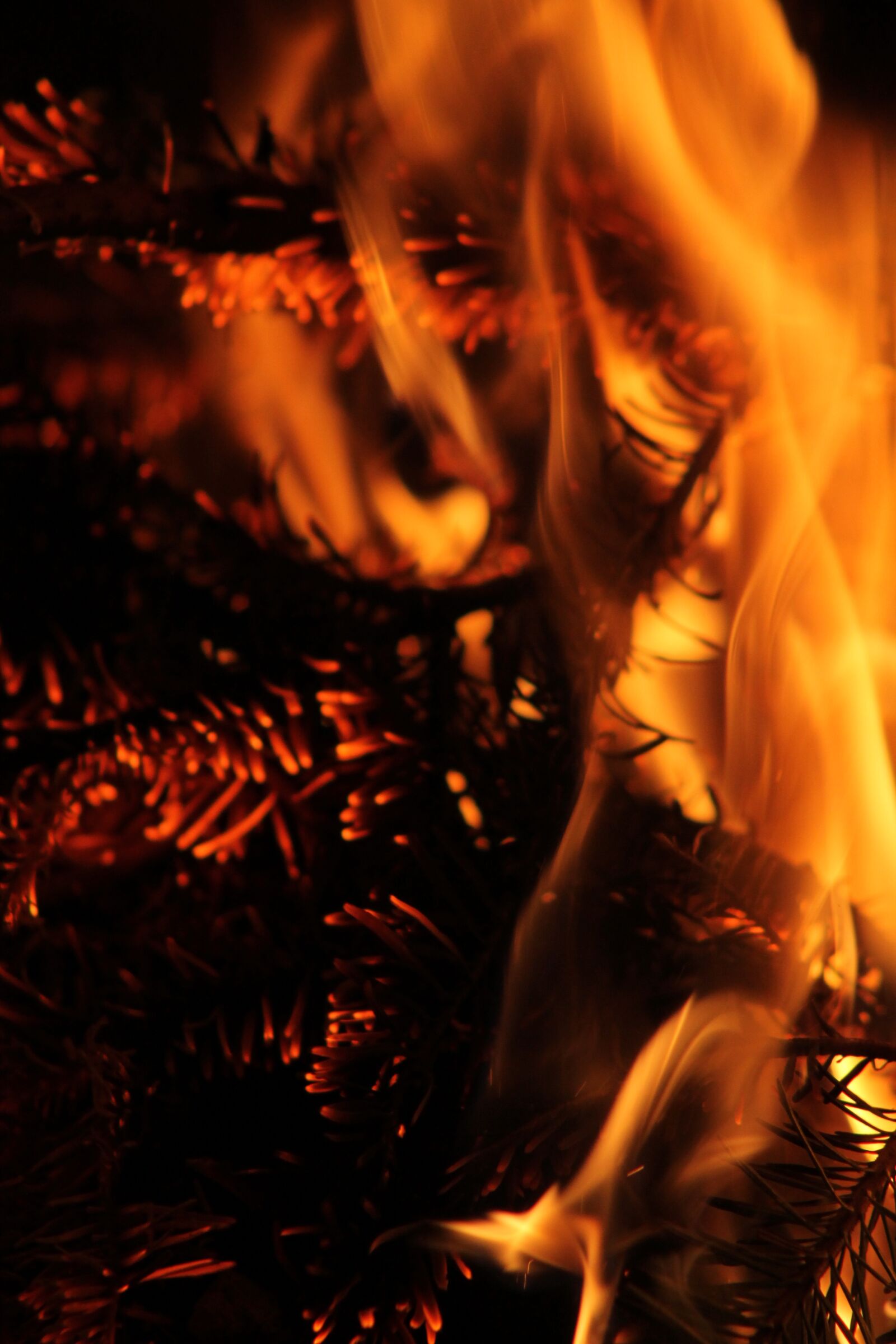 Canon EF 75-300mm f/4-5.6 sample photo. Fire, flame, burn photography