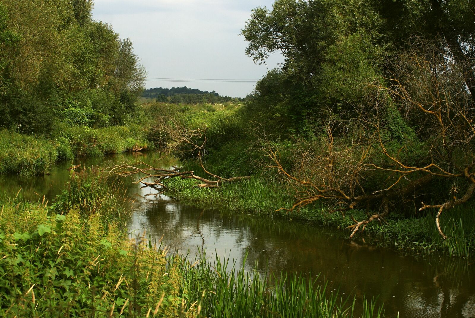 Sony Alpha DSLR-A200 sample photo. River, green, nature photography