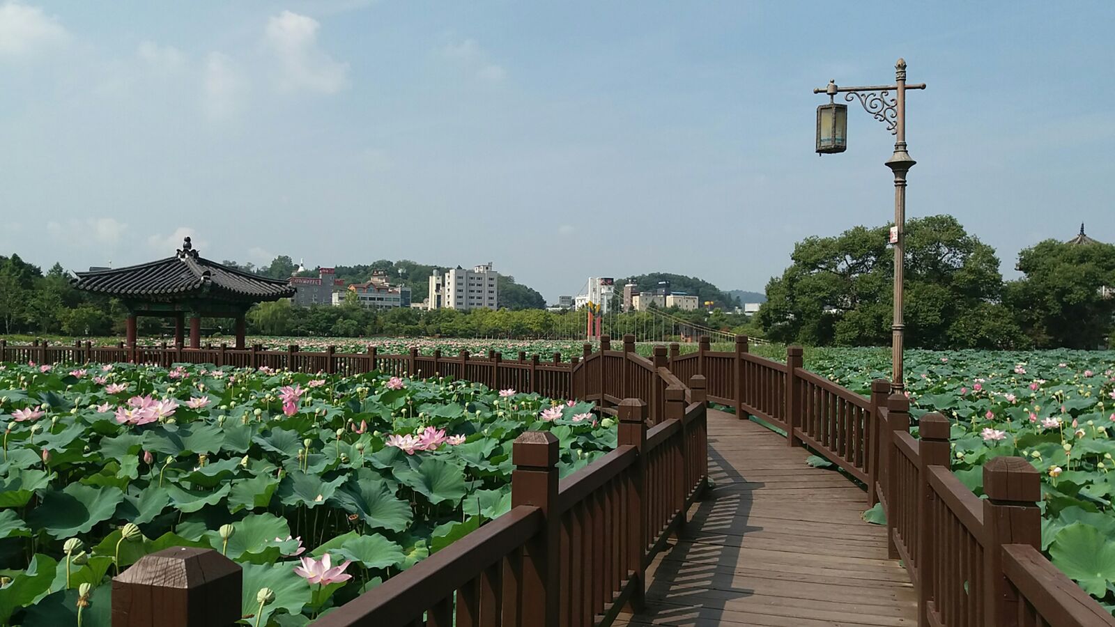 Samsung Galaxy J5 sample photo. Jeonju, deokjin park, republic photography