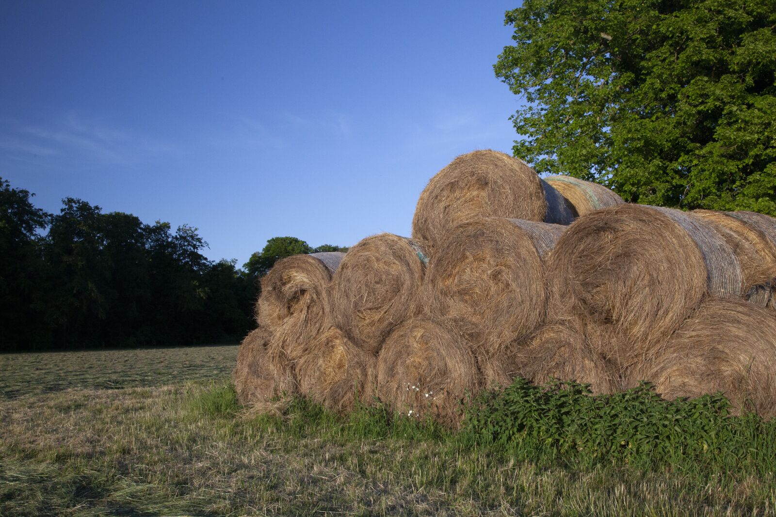 Canon EOS 5D Mark II sample photo. Hay, bales, harvest photography