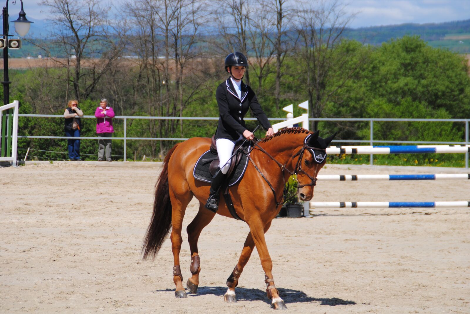Nikon D3000 sample photo. Horse, mare, redhead horse photography