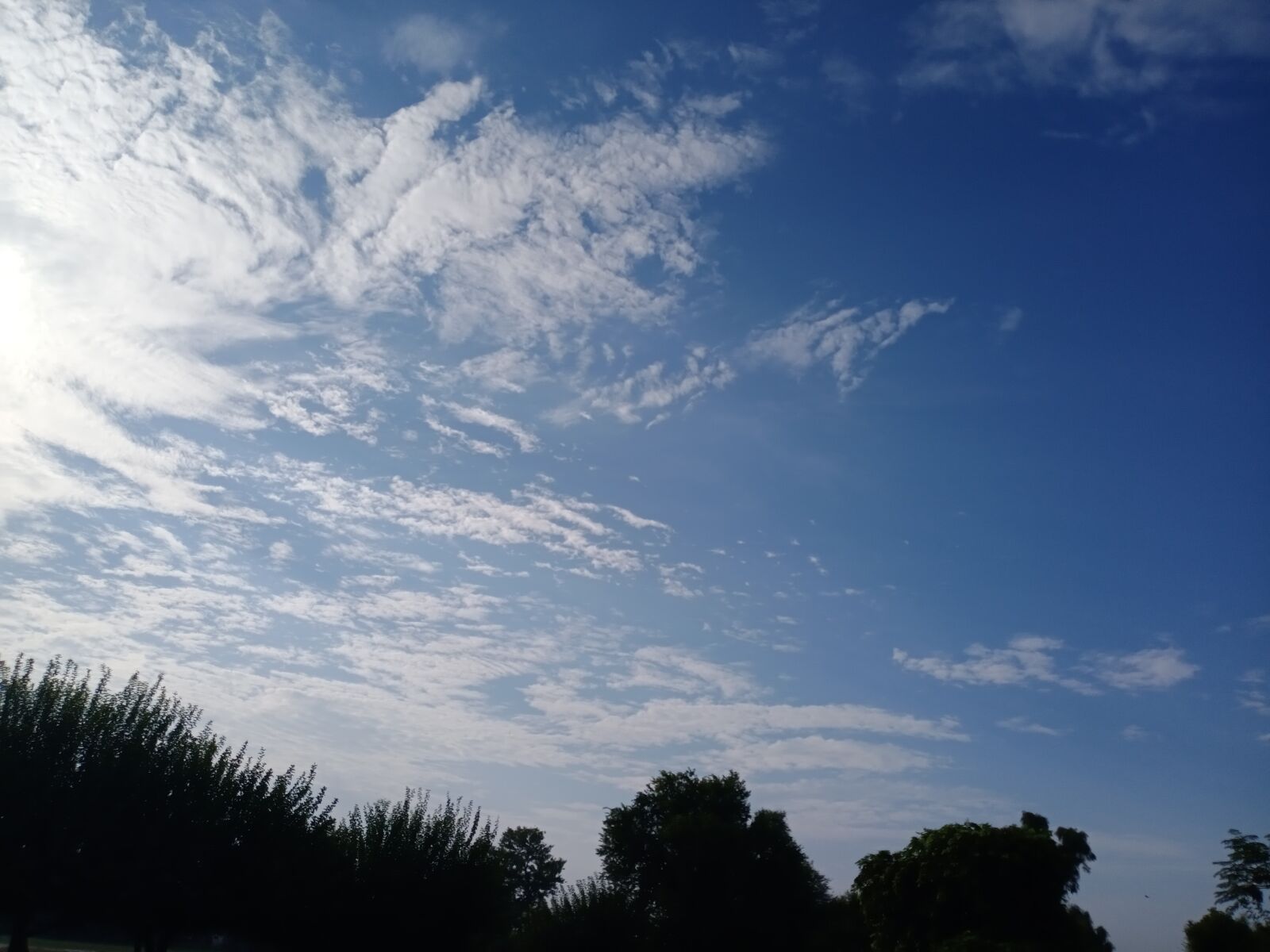 vivo 1907_19 sample photo. Nature, tree, sky photography