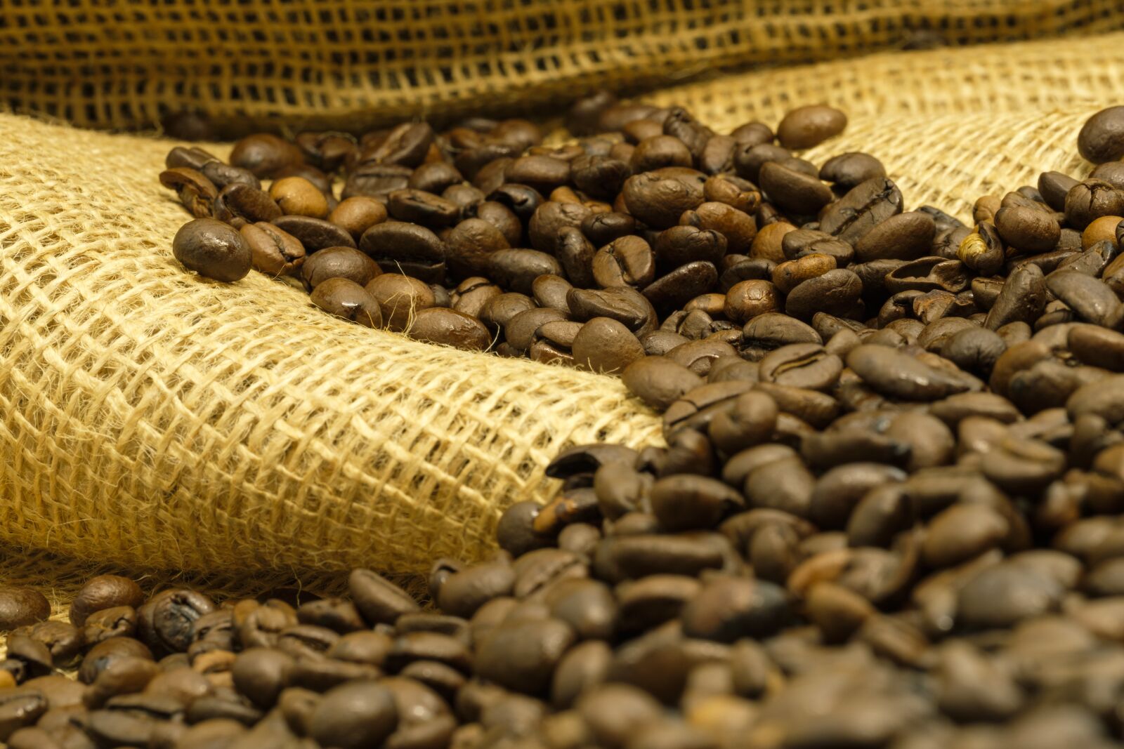Fujifilm X-T2 + Fujifilm XF 80mm F2.8 R LM OIS WR Macro sample photo. Coffee, coffee beans, bag photography