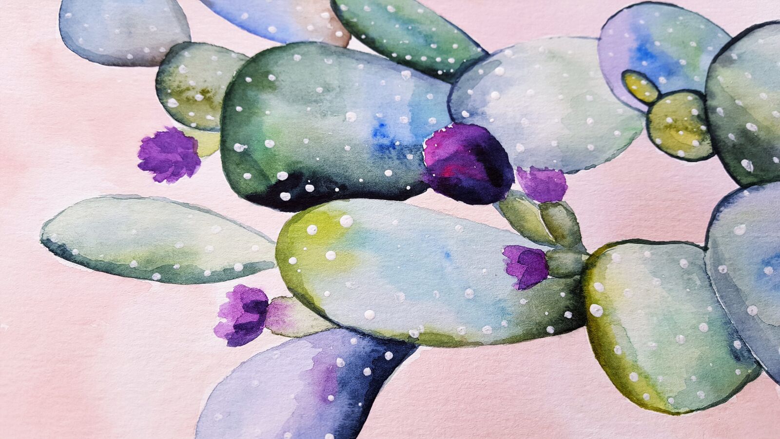 Samsung Galaxy S6 sample photo. Cactus, flower, plant photography