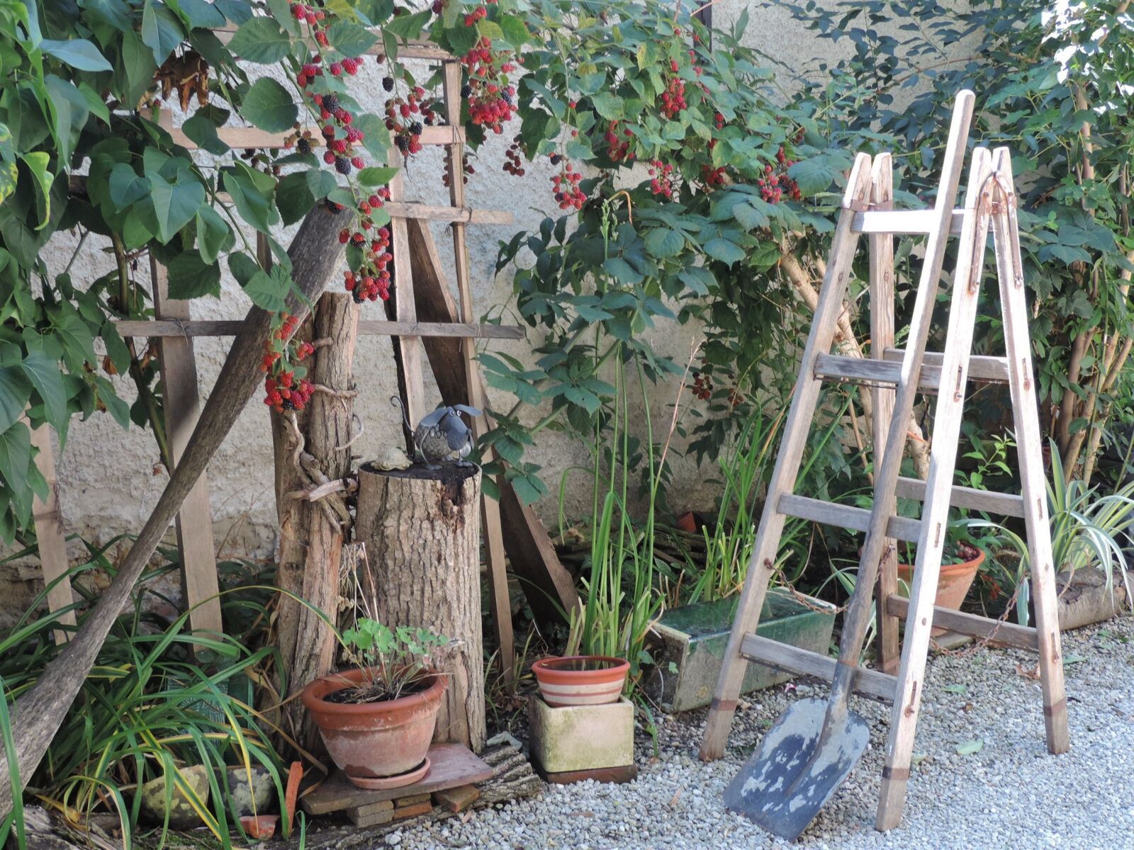 Nikon Coolpix P520 sample photo. Garden, ladder, composition photography