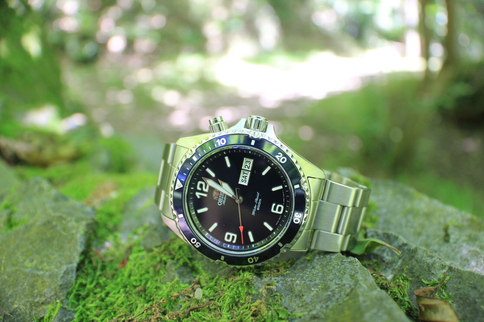 Canon EOS 550D (EOS Rebel T2i / EOS Kiss X4) sample photo. Watch, nature, blue photography