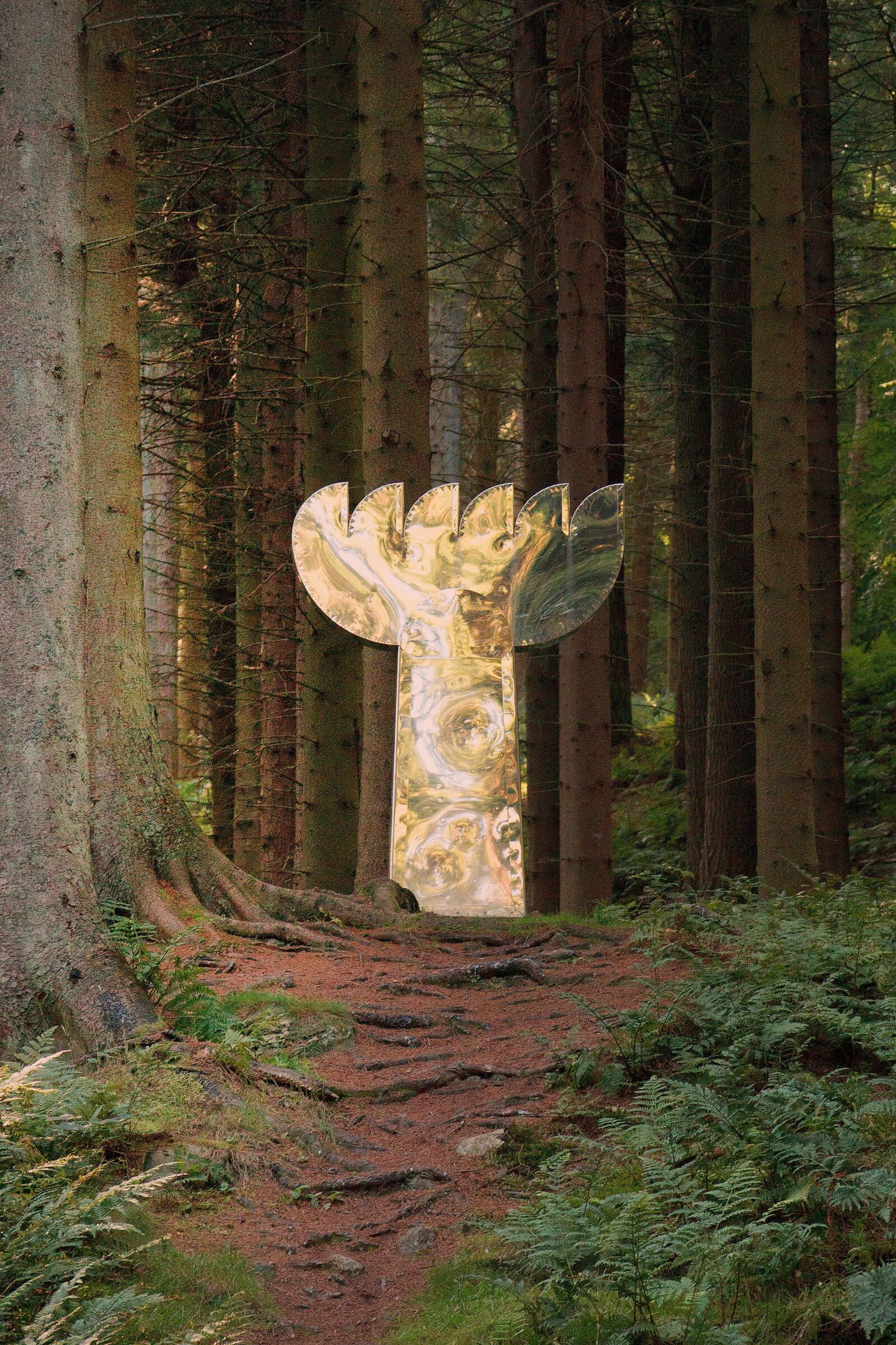 Canon EOS 70D sample photo. Forest, path, trees photography