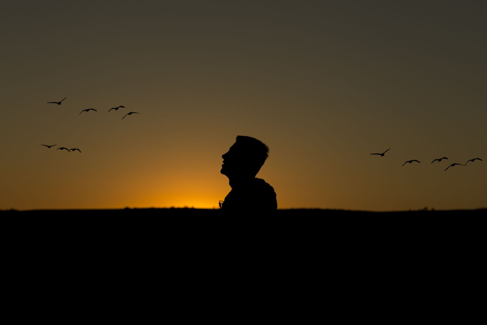 Canon EF 85mm F1.8 USM sample photo. Day, sunset, birds photography