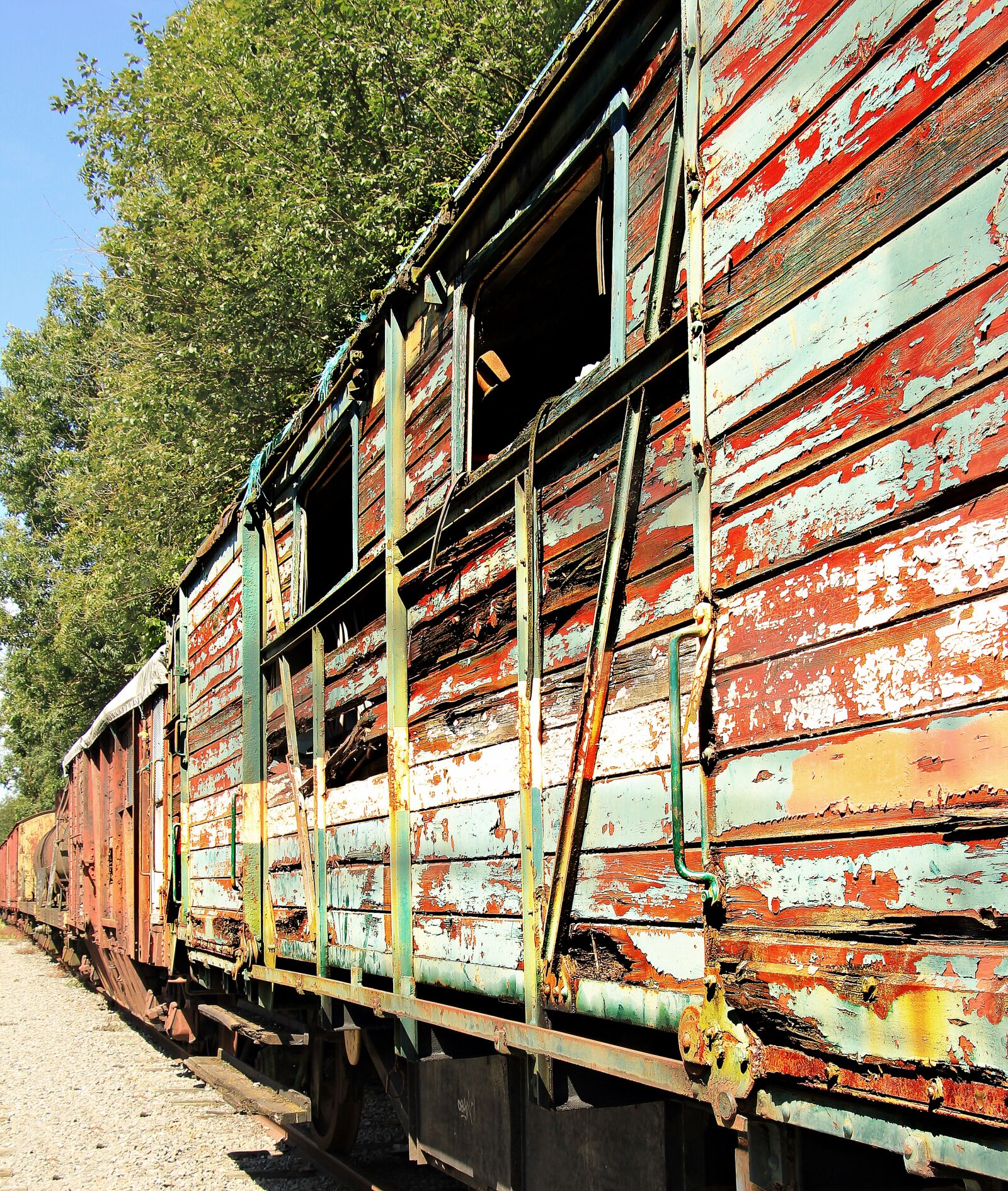 Canon EOS 550D (EOS Rebel T2i / EOS Kiss X4) sample photo. Trains, train cemetery, zughalde photography
