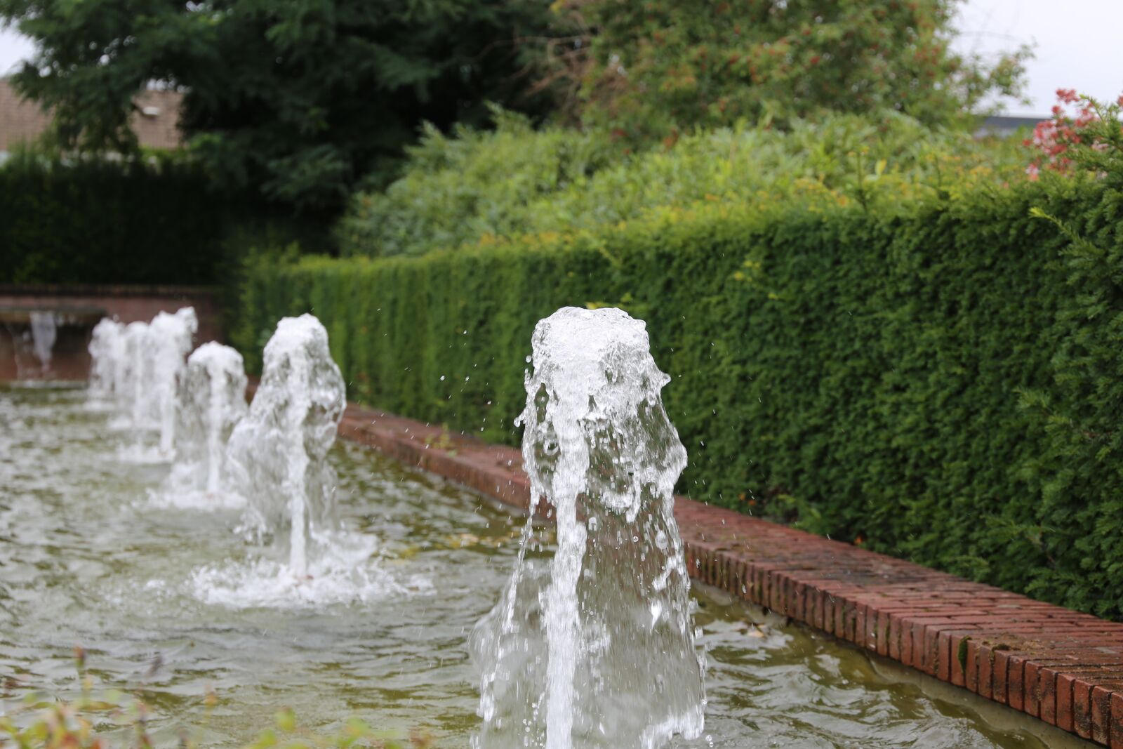 Canon EF 24-105mm F3.5-5.6 IS STM sample photo. Water, outside, outdoor photography