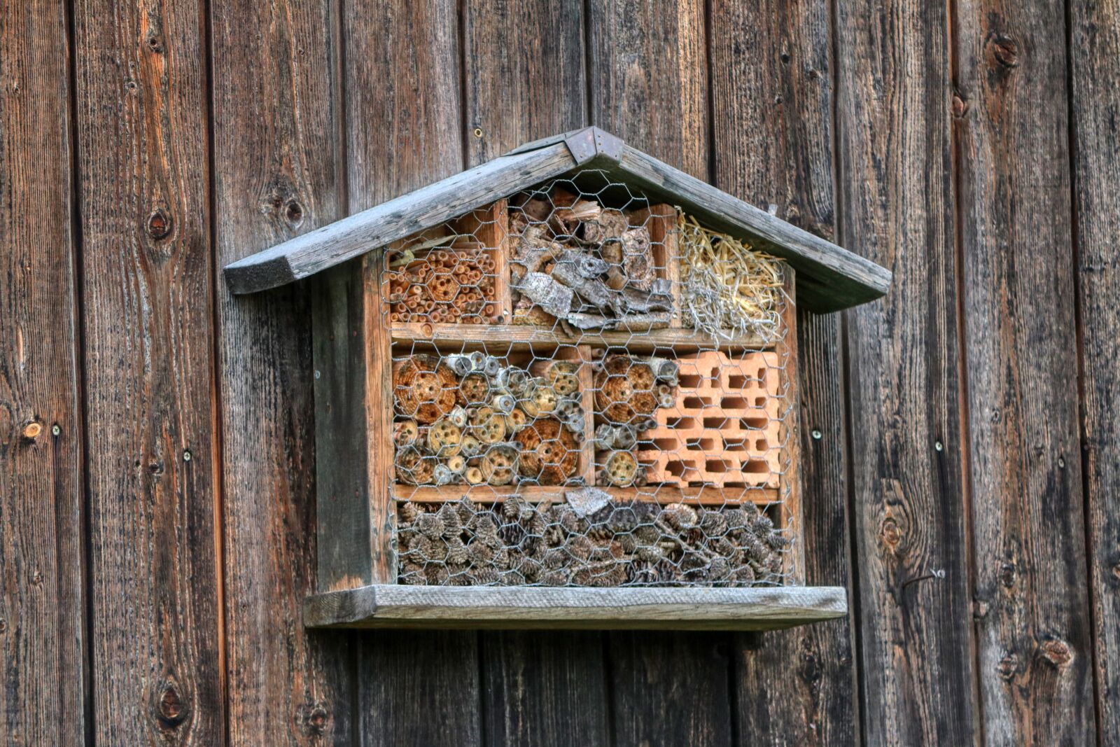 Canon EOS 80D sample photo. Bee hotel, insect hotel photography