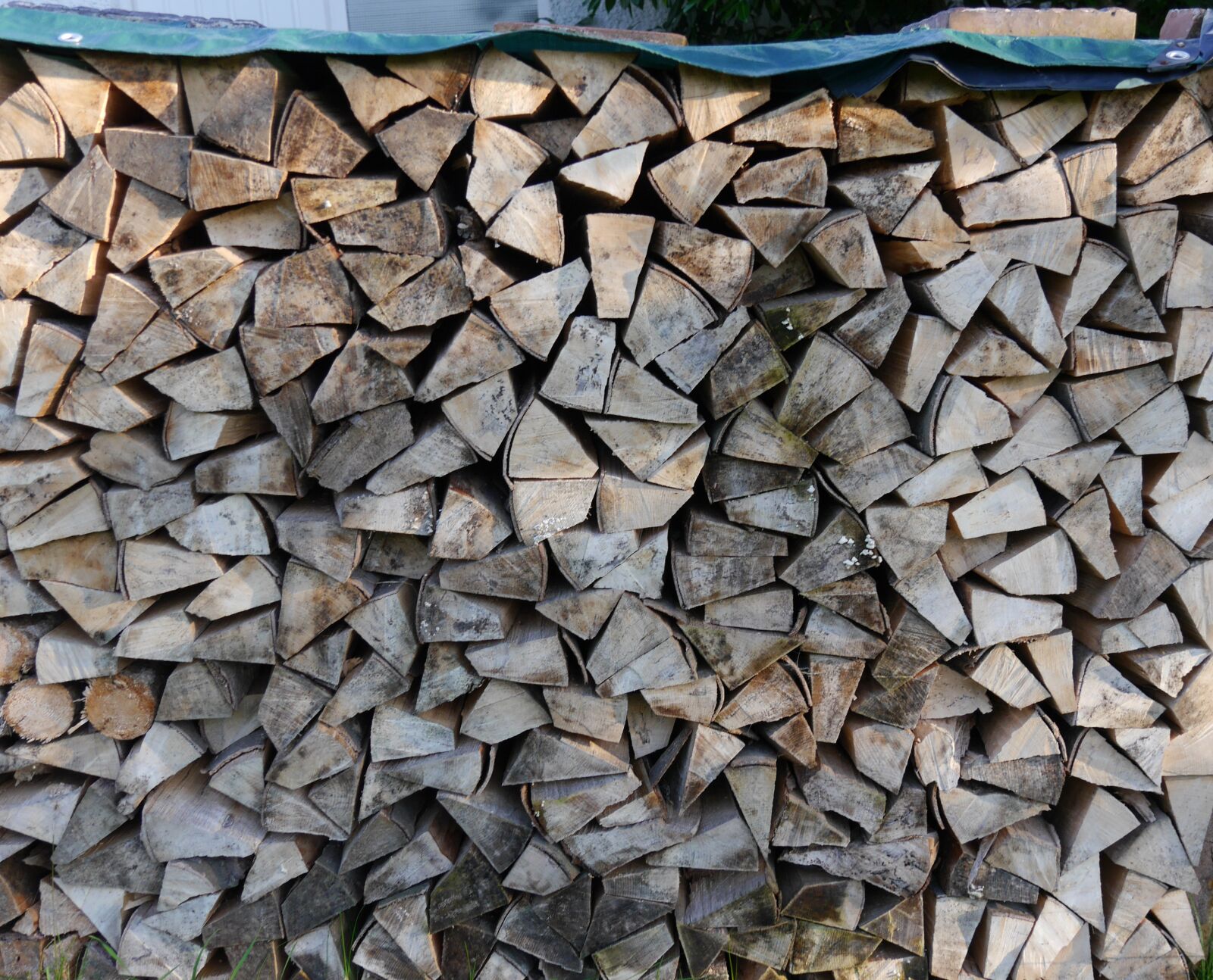 Panasonic Lumix DMC-G6 sample photo. Pile of wood, wood photography