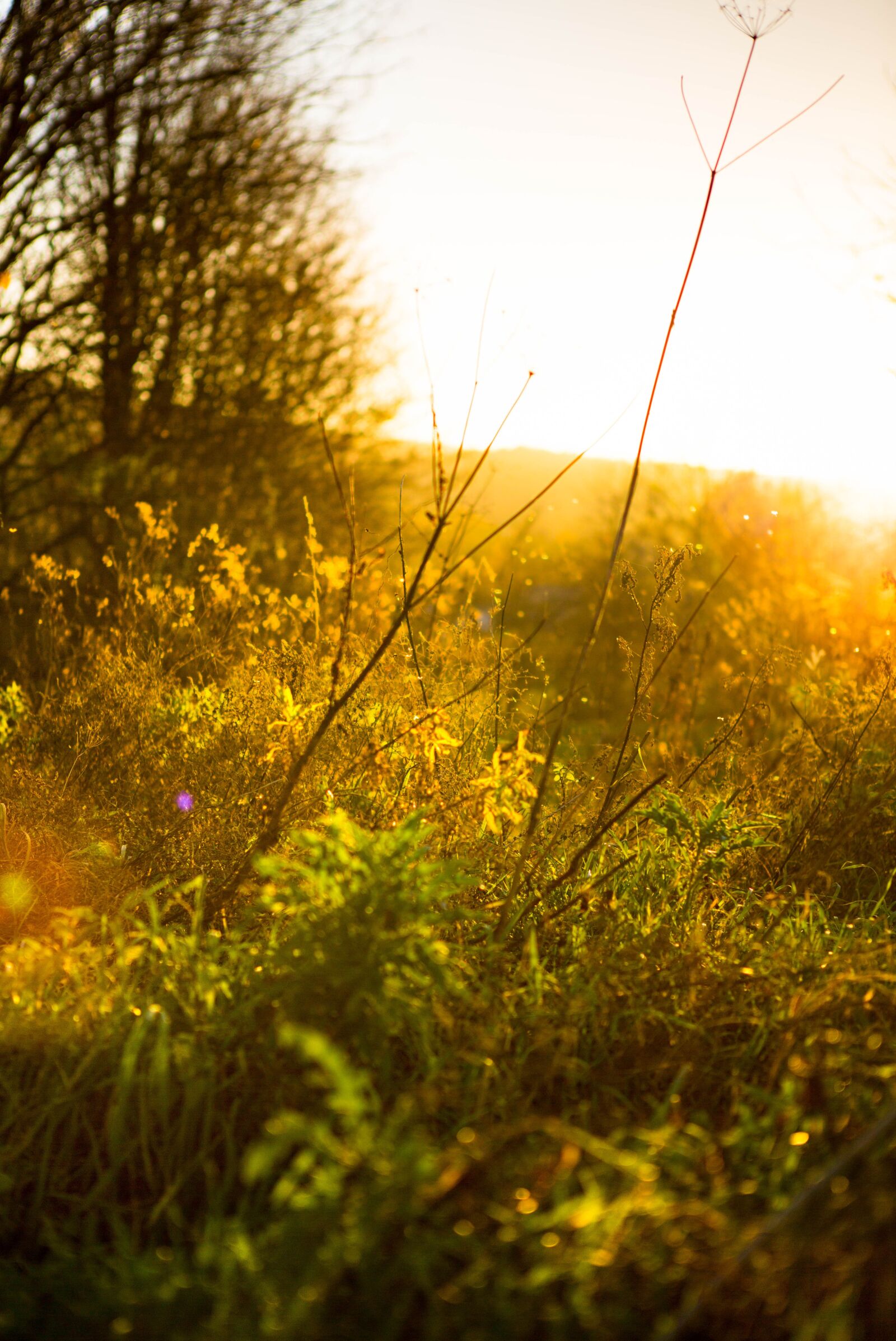 Canon EOS 5D Mark III sample photo. Sky, autumn, landscape photography