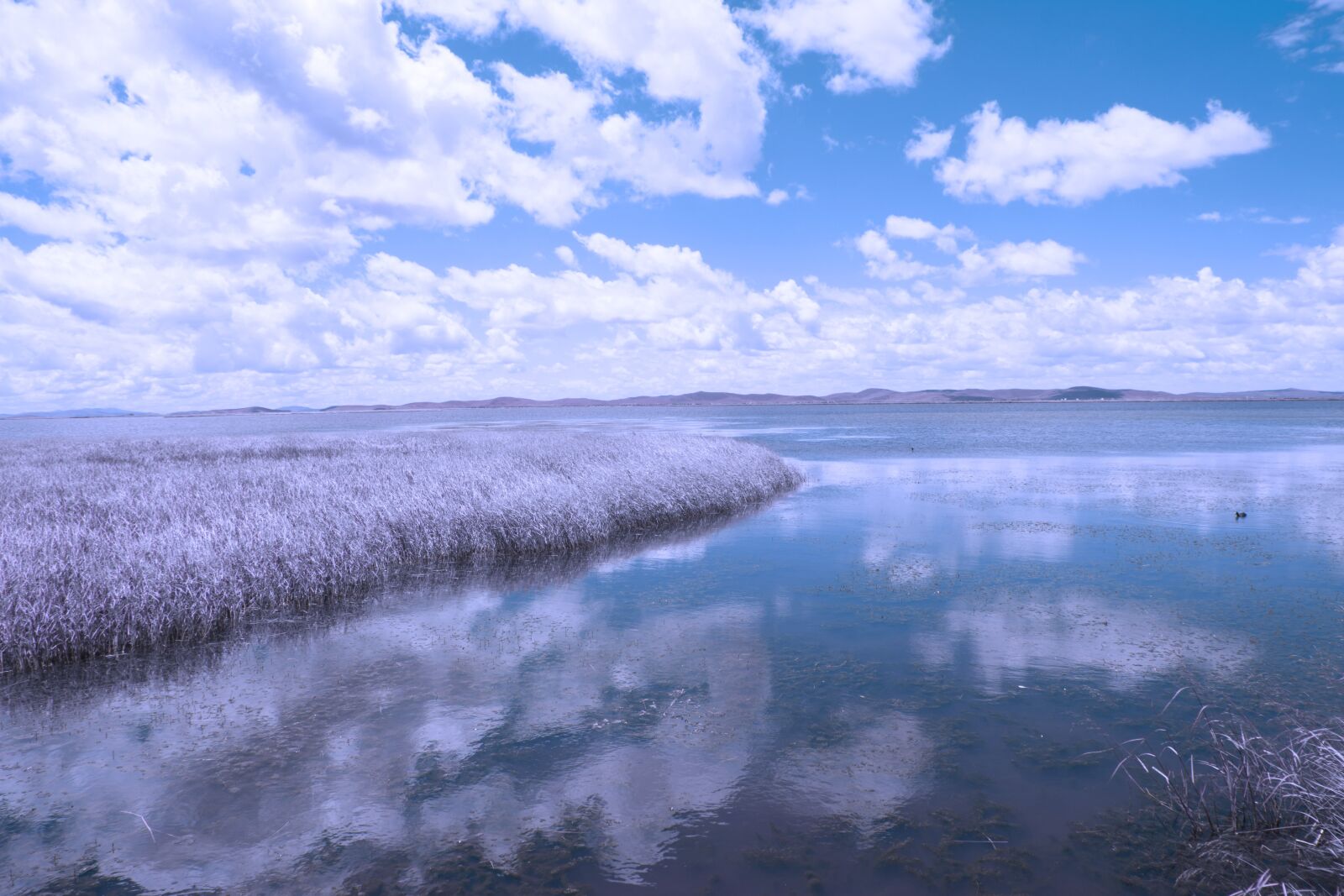 Nikon D7100 sample photo. Lake, water, reflection photography