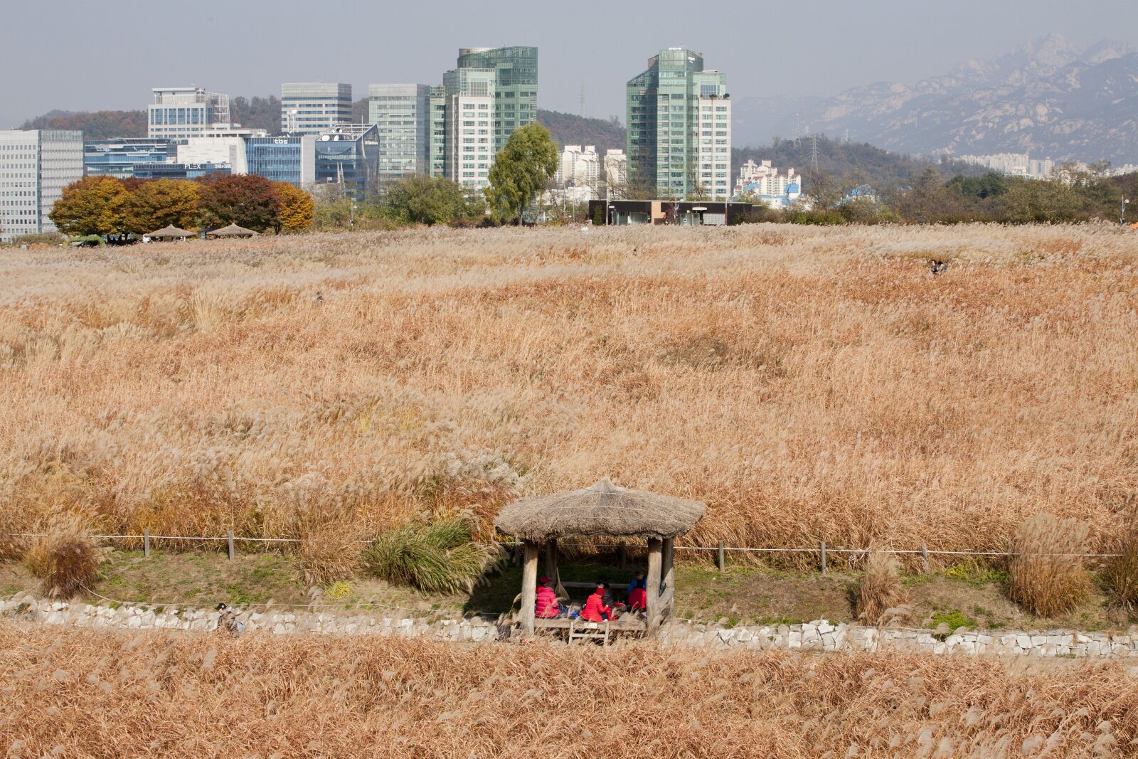 Canon EOS 5D sample photo. Sky park, seoul, han photography