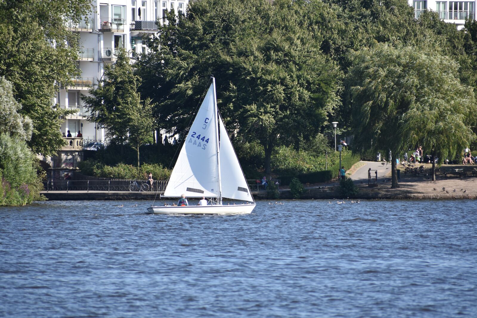 Nikon D3400 sample photo. Hamburg, boat, water photography