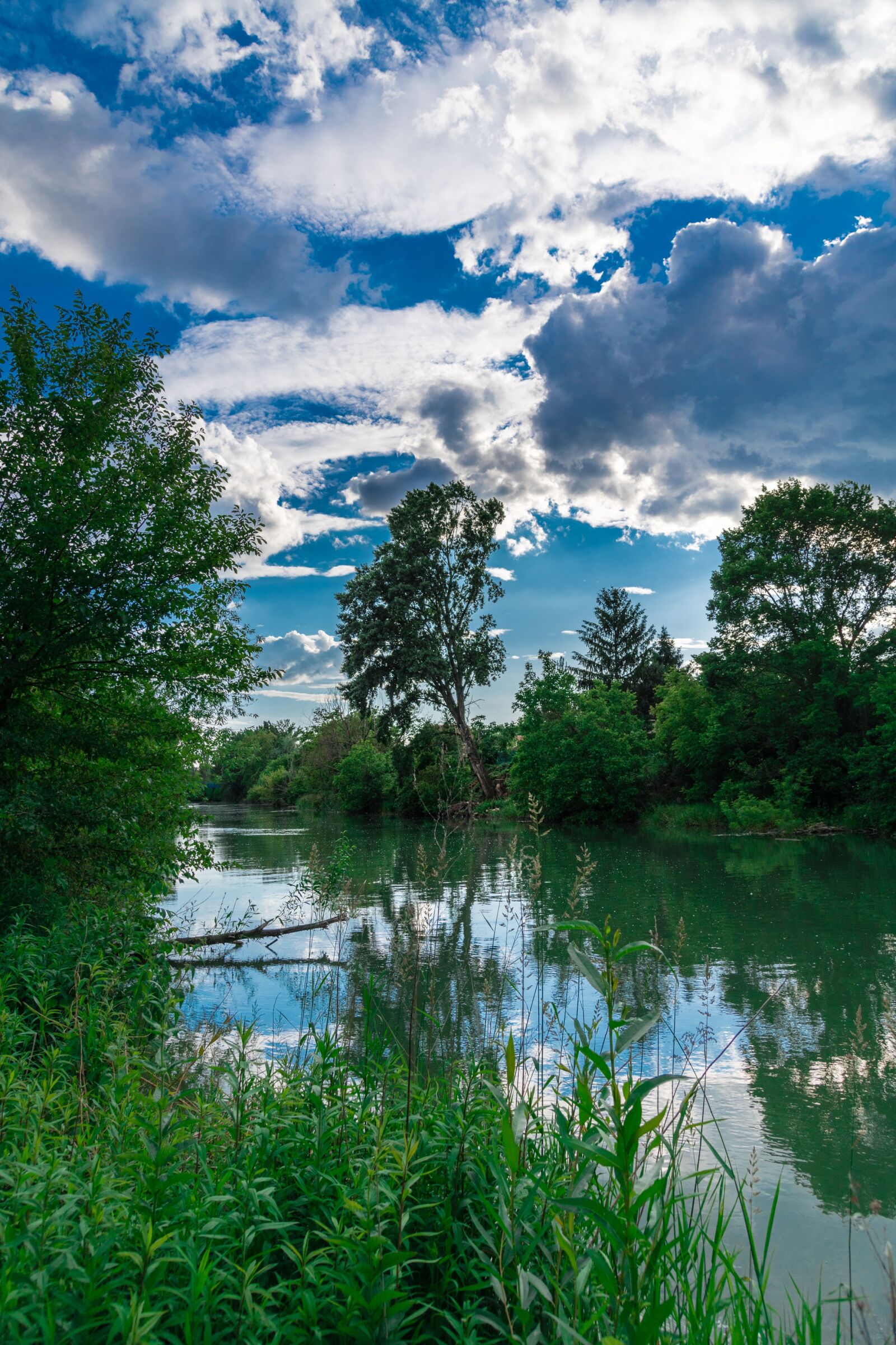 Nikon D850 sample photo. River, nature, blue photography