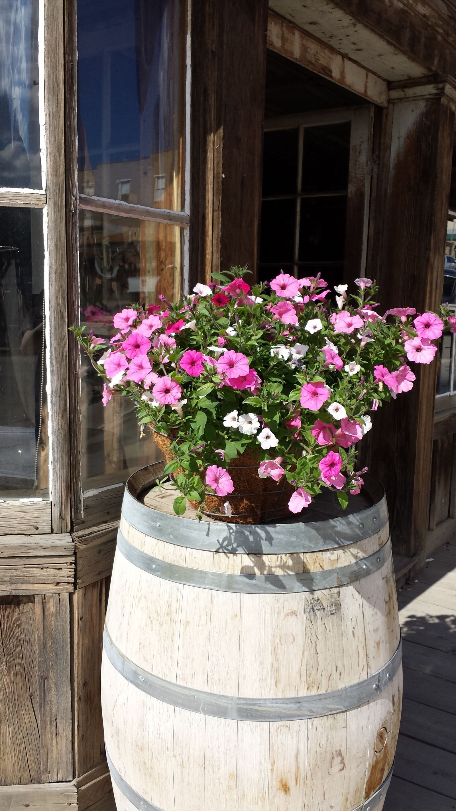 Samsung Galaxy S4 sample photo. Barrel, flowers, pink flowers photography