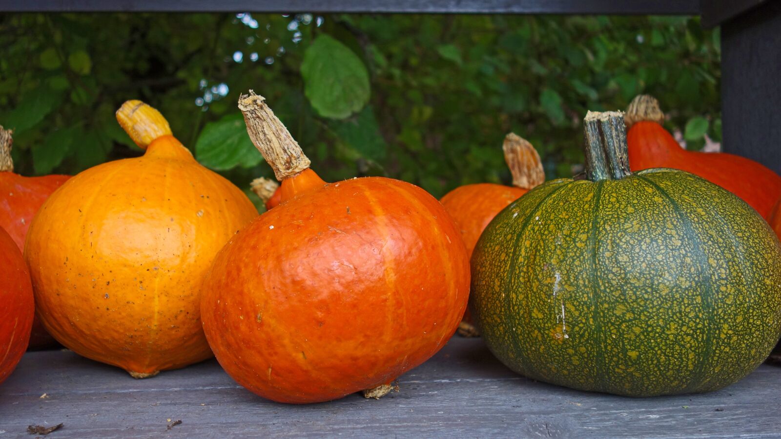 Sony Cyber-shot DSC-RX100 sample photo. Pumpkins, autumn decoration, ornamental photography