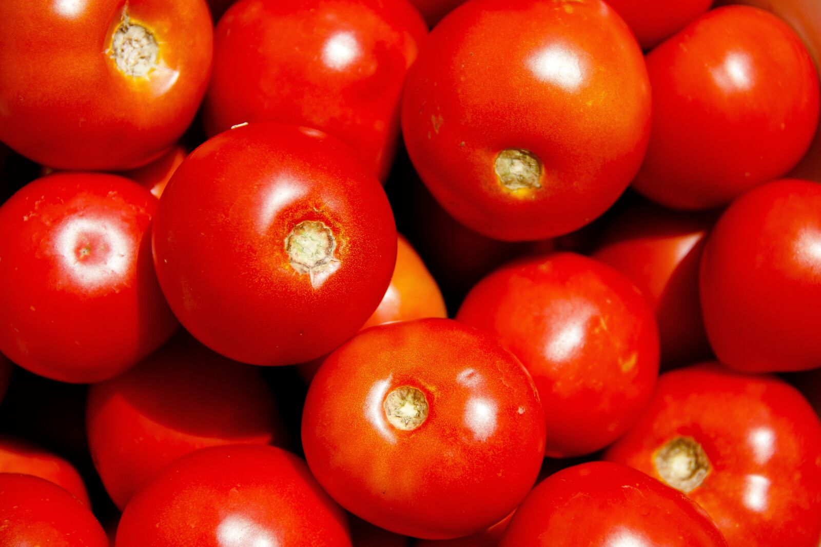 Canon EOS 650D (EOS Rebel T4i / EOS Kiss X6i) sample photo. Tomatoes, vegetables, nutrition photography