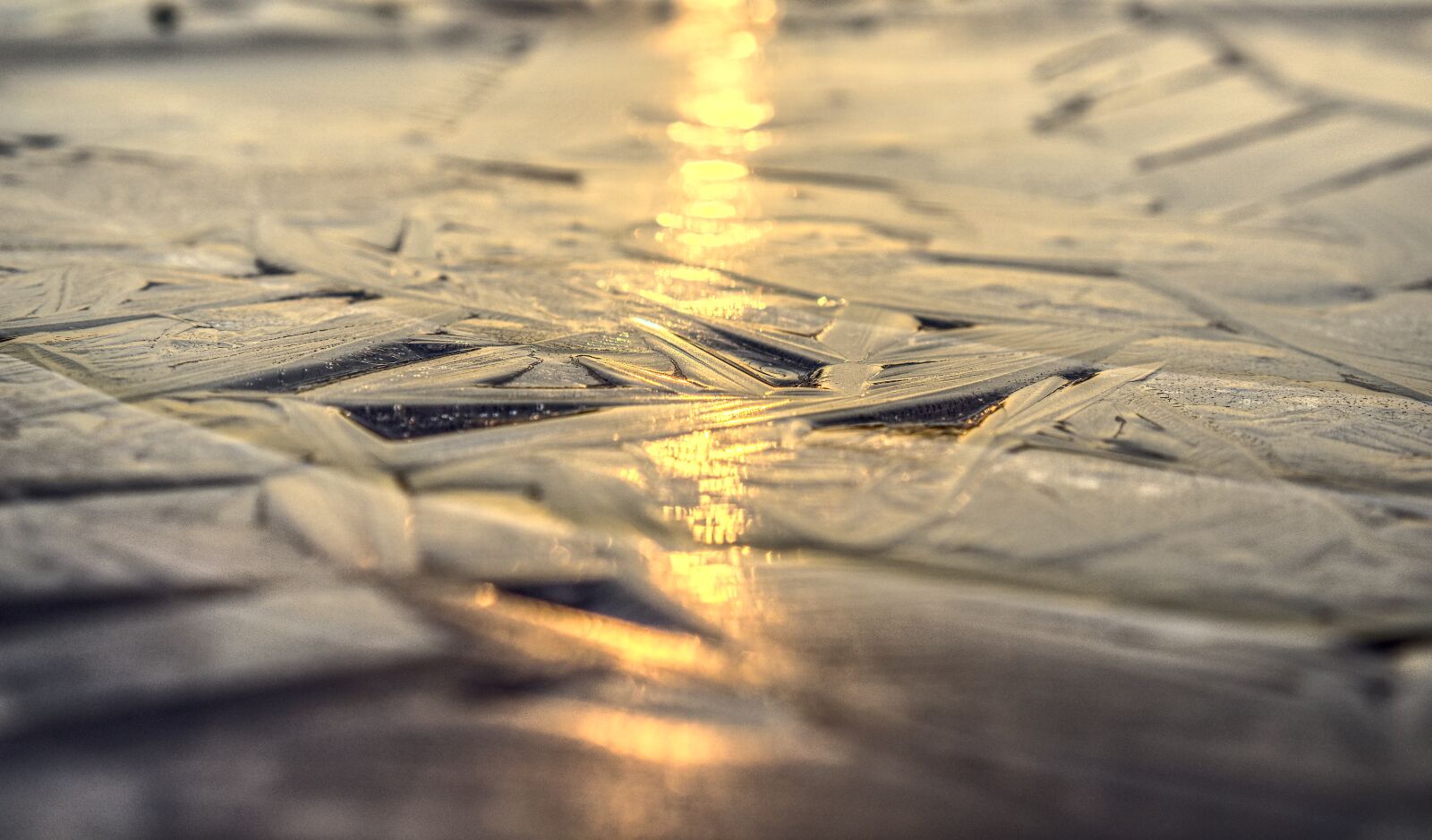 Sony a6000 + Sony E 35mm F1.8 OSS sample photo. Ice, frozen, ice rink photography