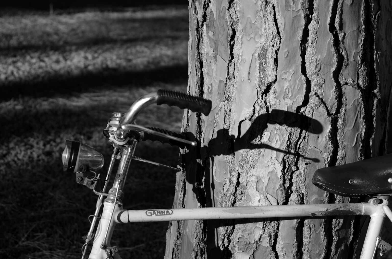 Pentax K-5 sample photo. Bicycle, tree, shadow photography