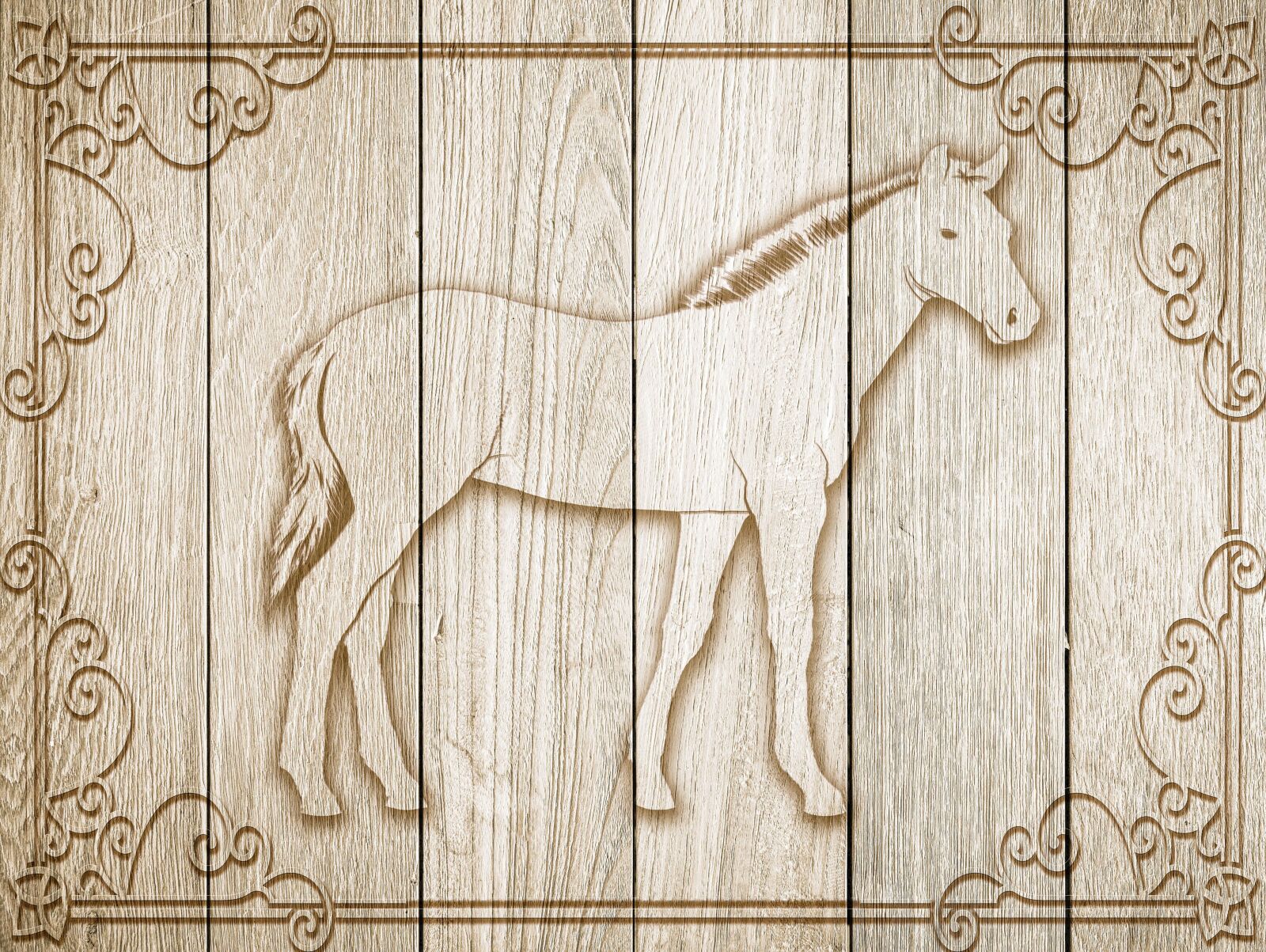 Canon EOS 6D + Sigma 24-35mm F2 DG HSM Art sample photo. Horse, on wood, frame photography