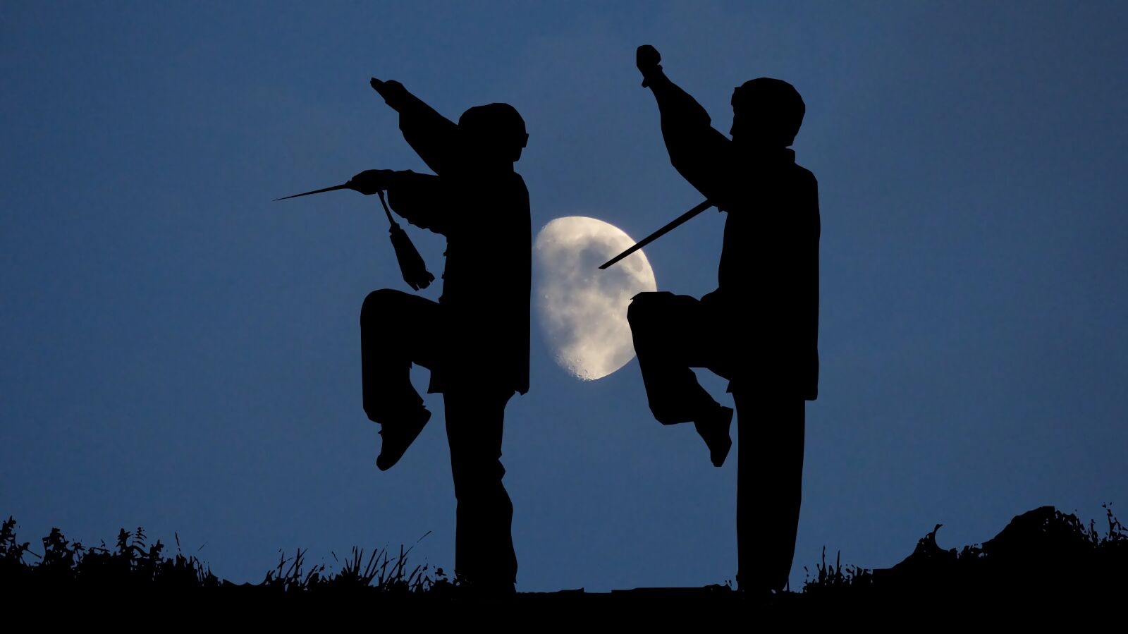 Panasonic Lumix DMC-FZ200 sample photo. Sport, tai chi, china photography