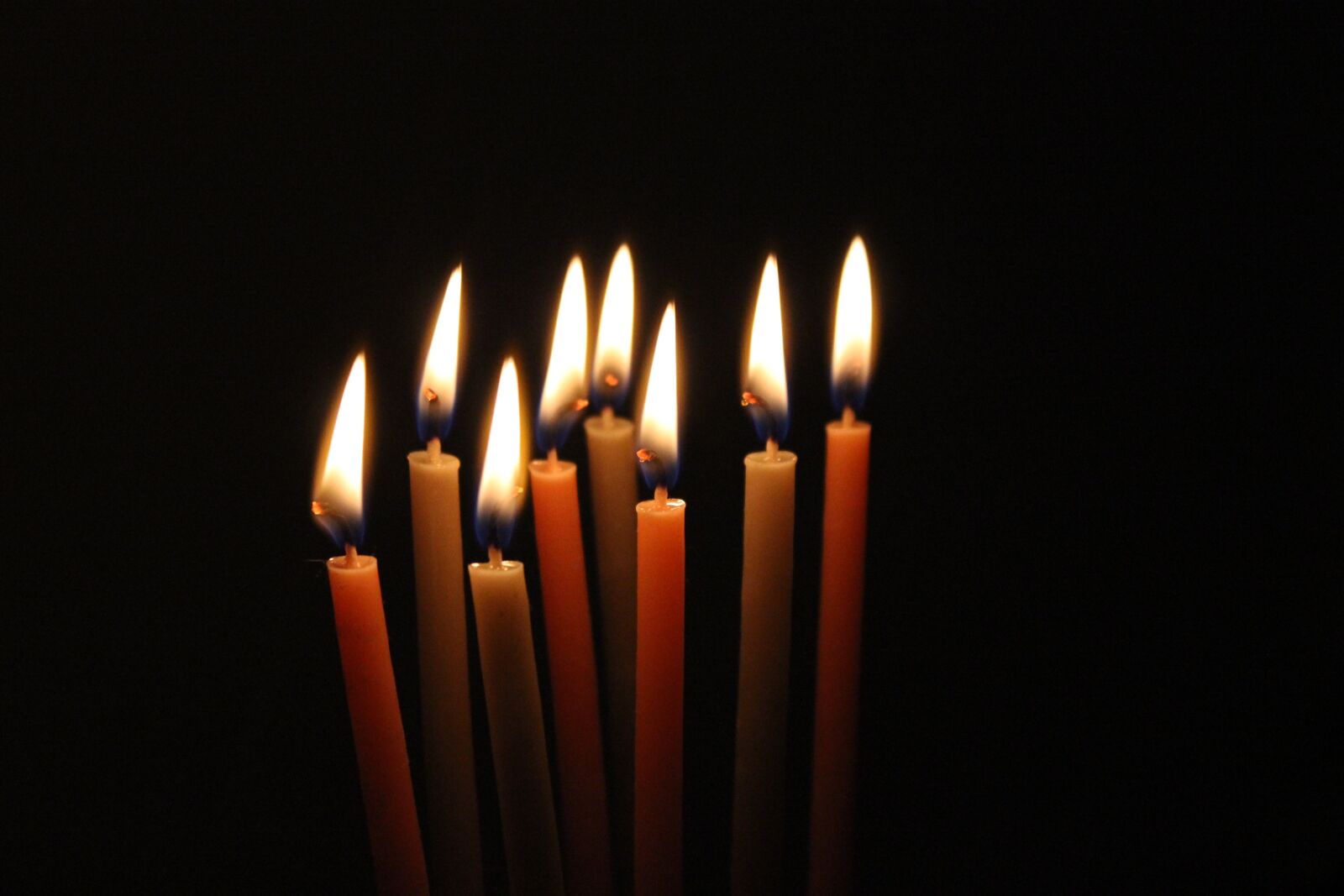 Canon EOS 600D (Rebel EOS T3i / EOS Kiss X5) sample photo. Candle light, dark, candle photography