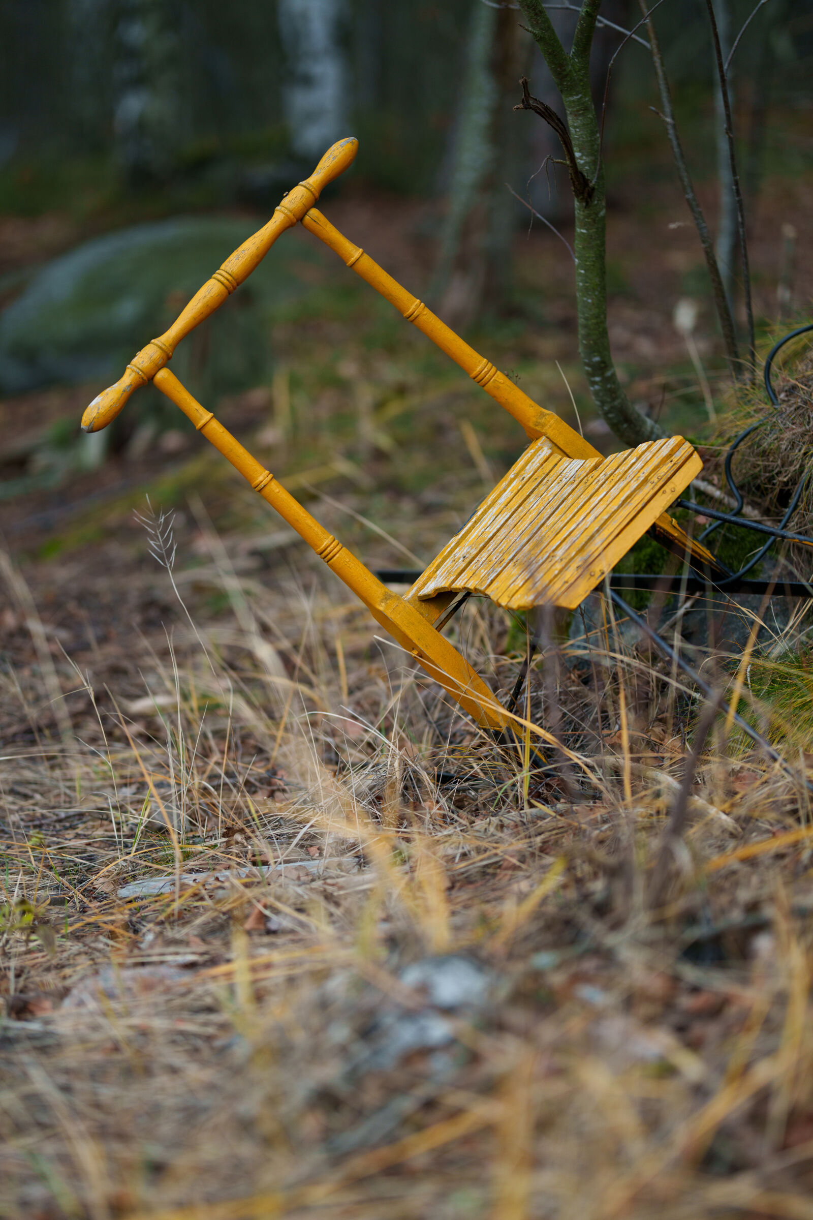Sony FE 85mm F1.4 GM II sample photo. Kick sled waiting for photography