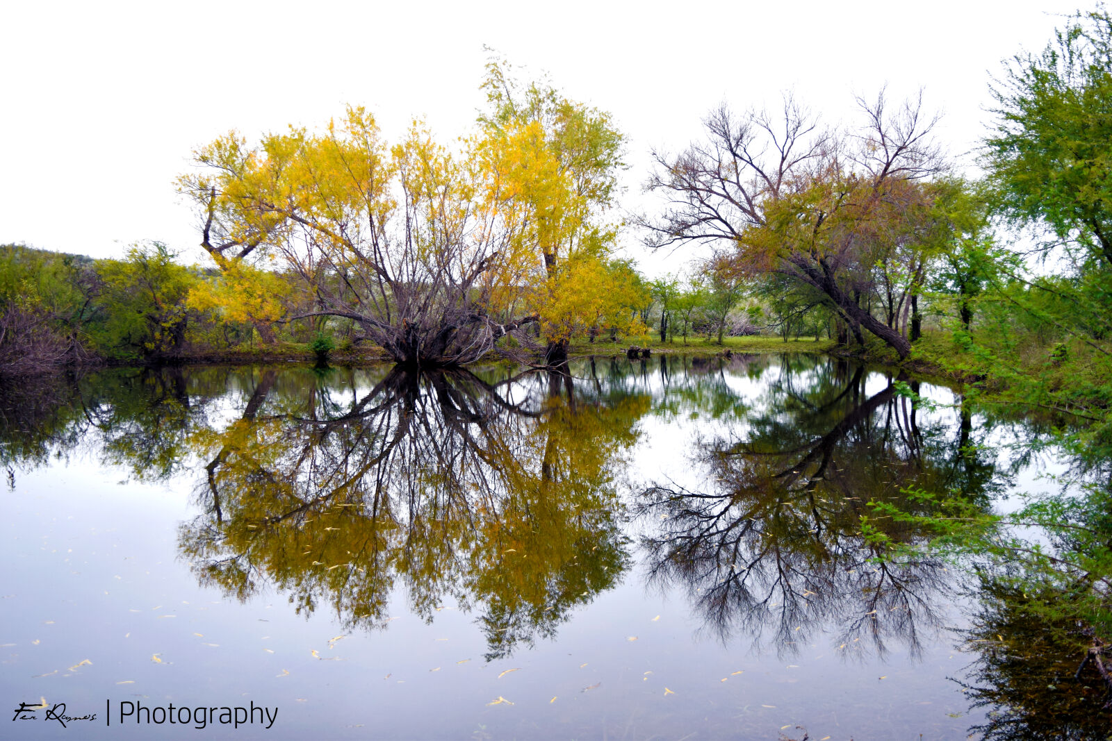 Nikon D3300 sample photo. Lake photography